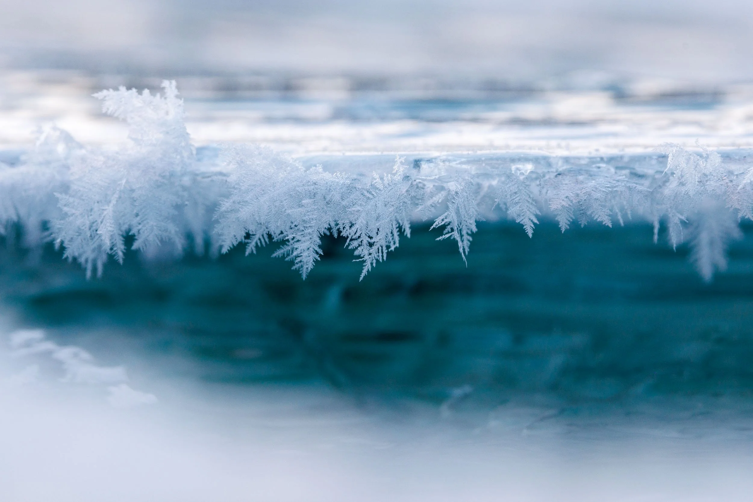 Some ice flowers in the Abiskojokk