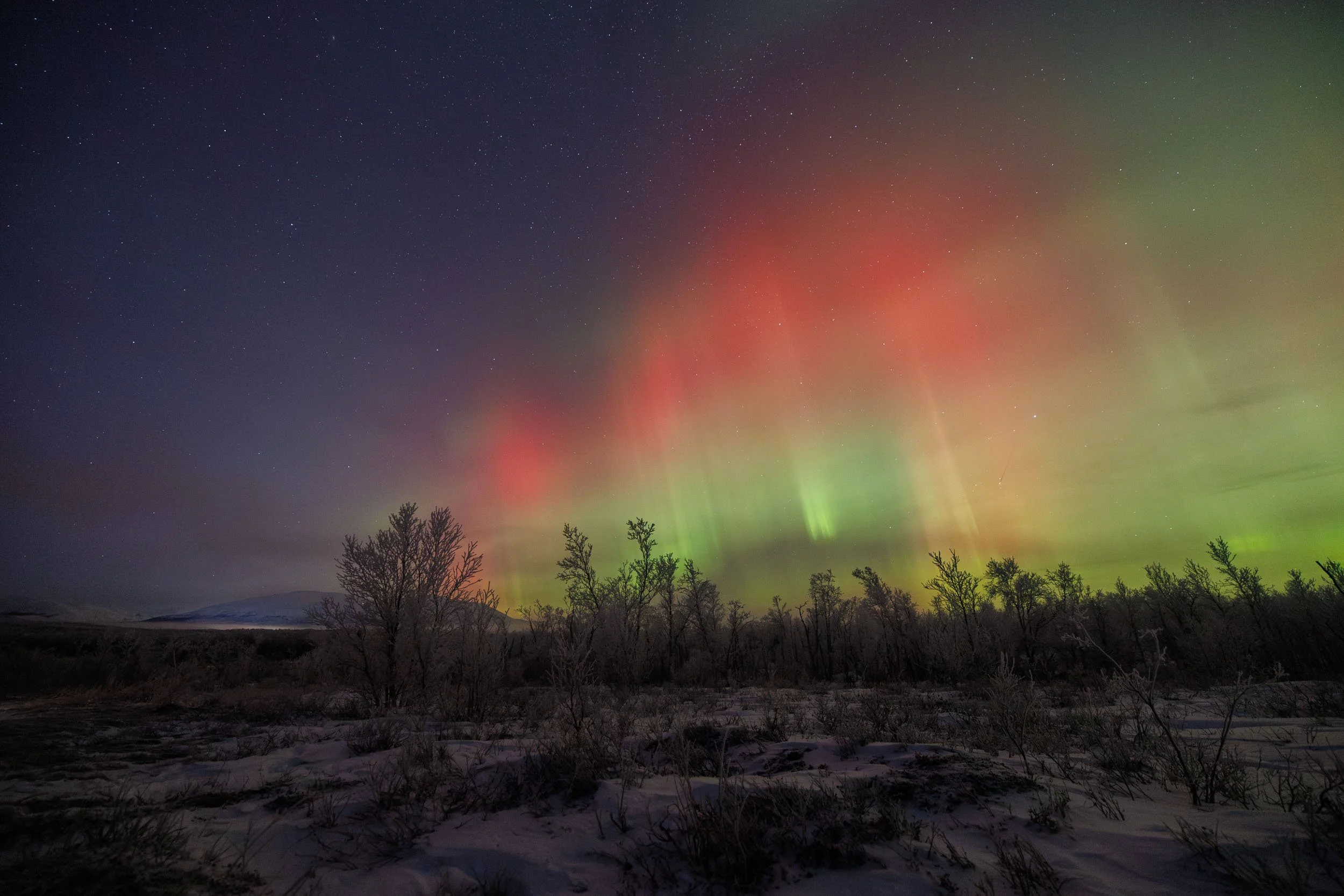 A red aurora over the tundra in Abisko during a solar storm