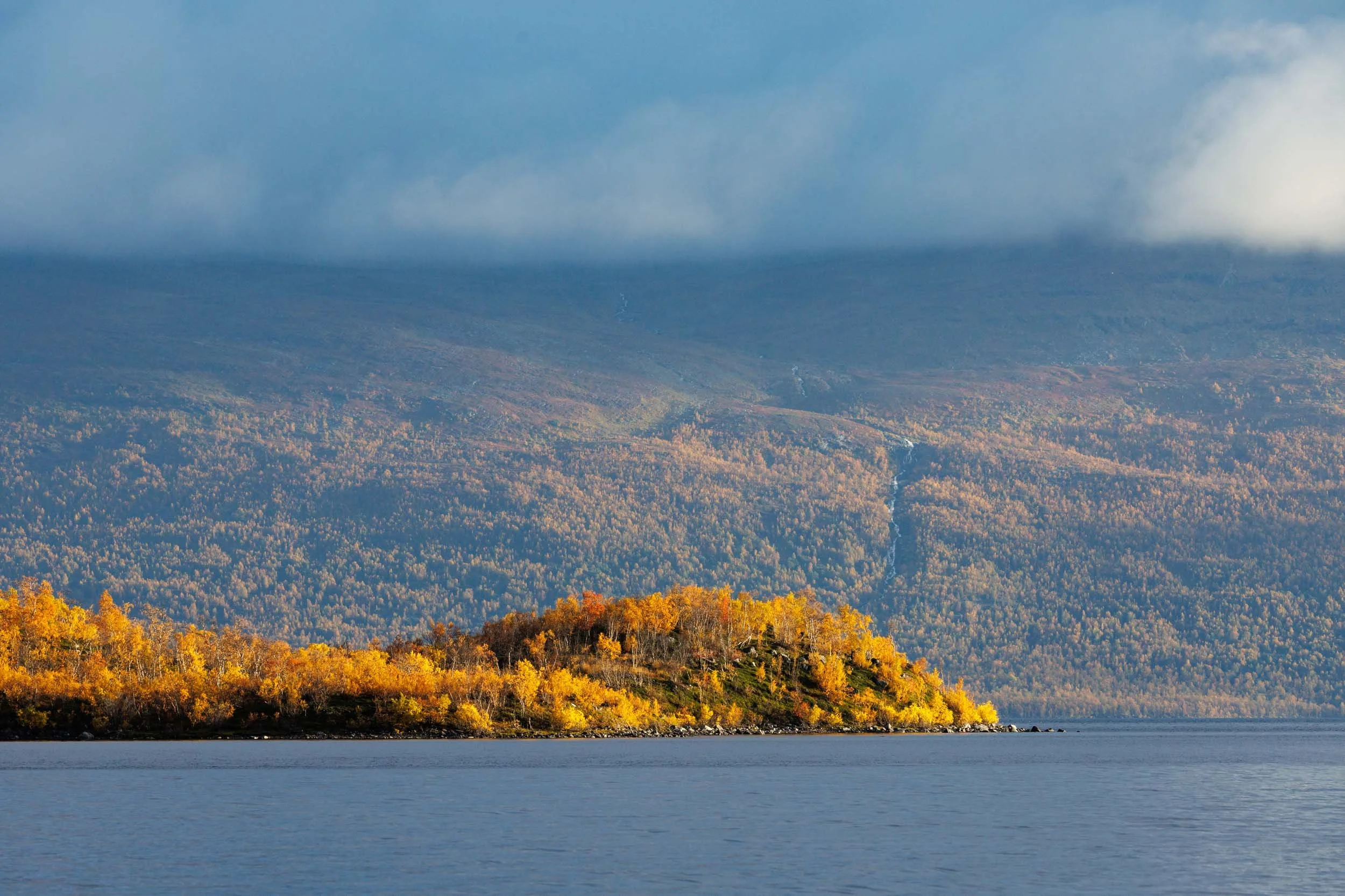 abisko-national-park-autumn-colours.jpg