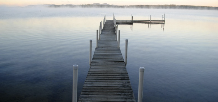 Dialectical Behavior Therapy 101: A Quick Guide to Emotional Regulation