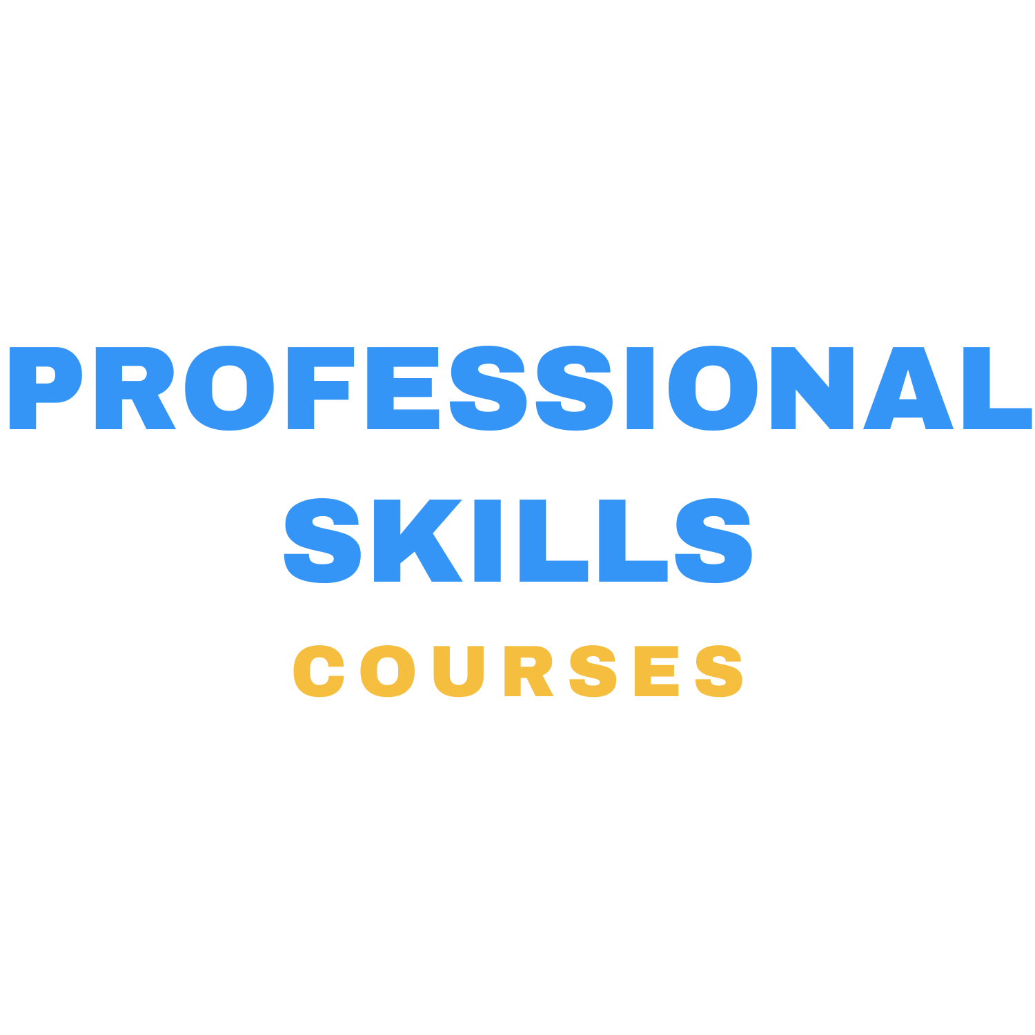 Professional Skills.png