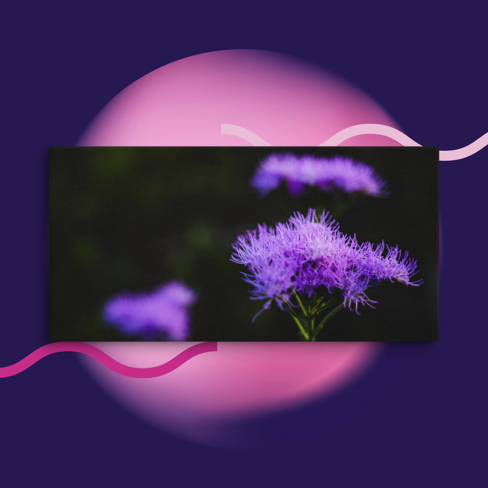 canvas-(in)-12x24-wall-673cd04a3f54e.jpg