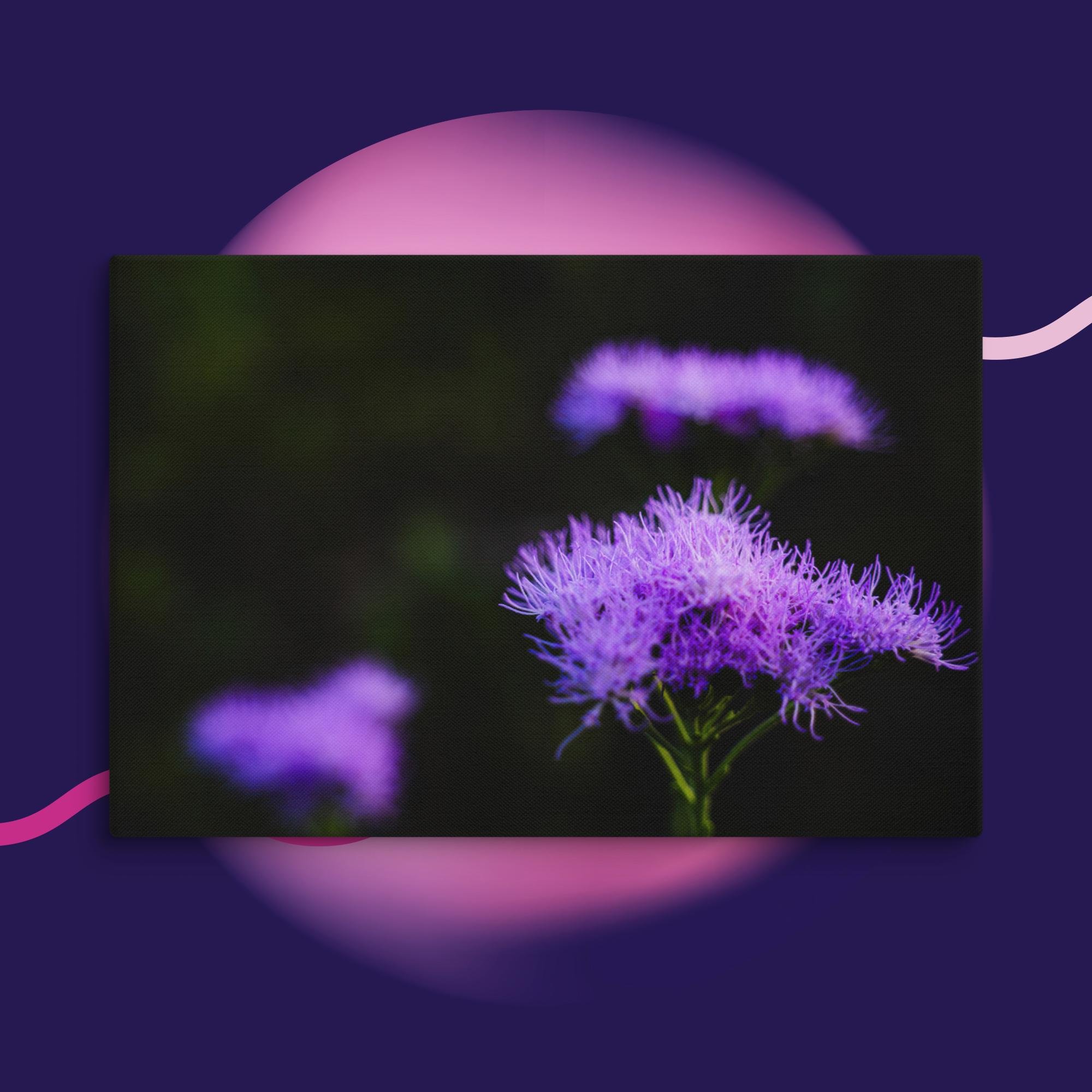 canvas-(in)-16x24-wall-673cd04a3da19.jpg