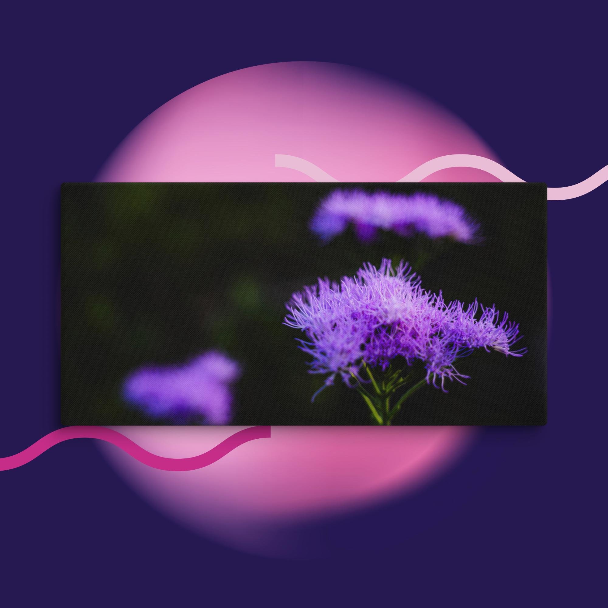 canvas-(in)-16x32-wall-673cd04a3c486.jpg