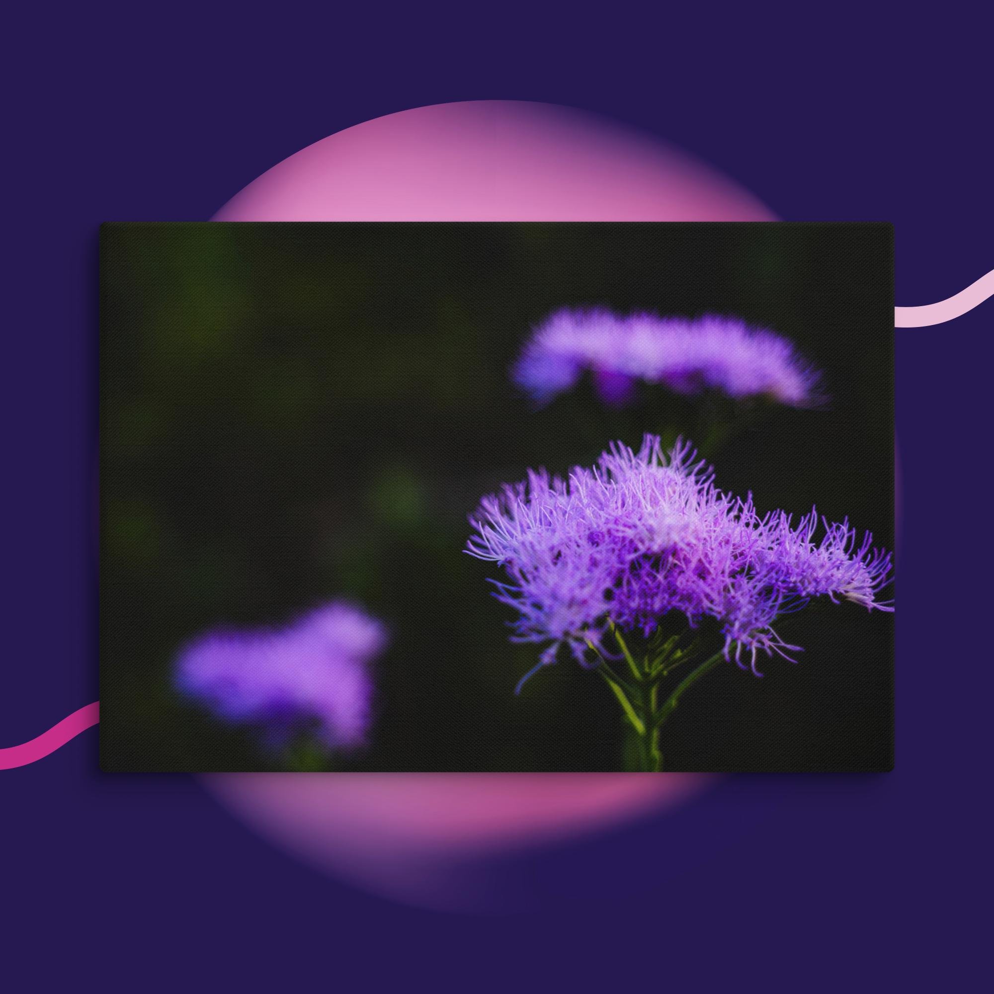 canvas-(in)-18x26-wall-673cd04a3ad9b.jpg