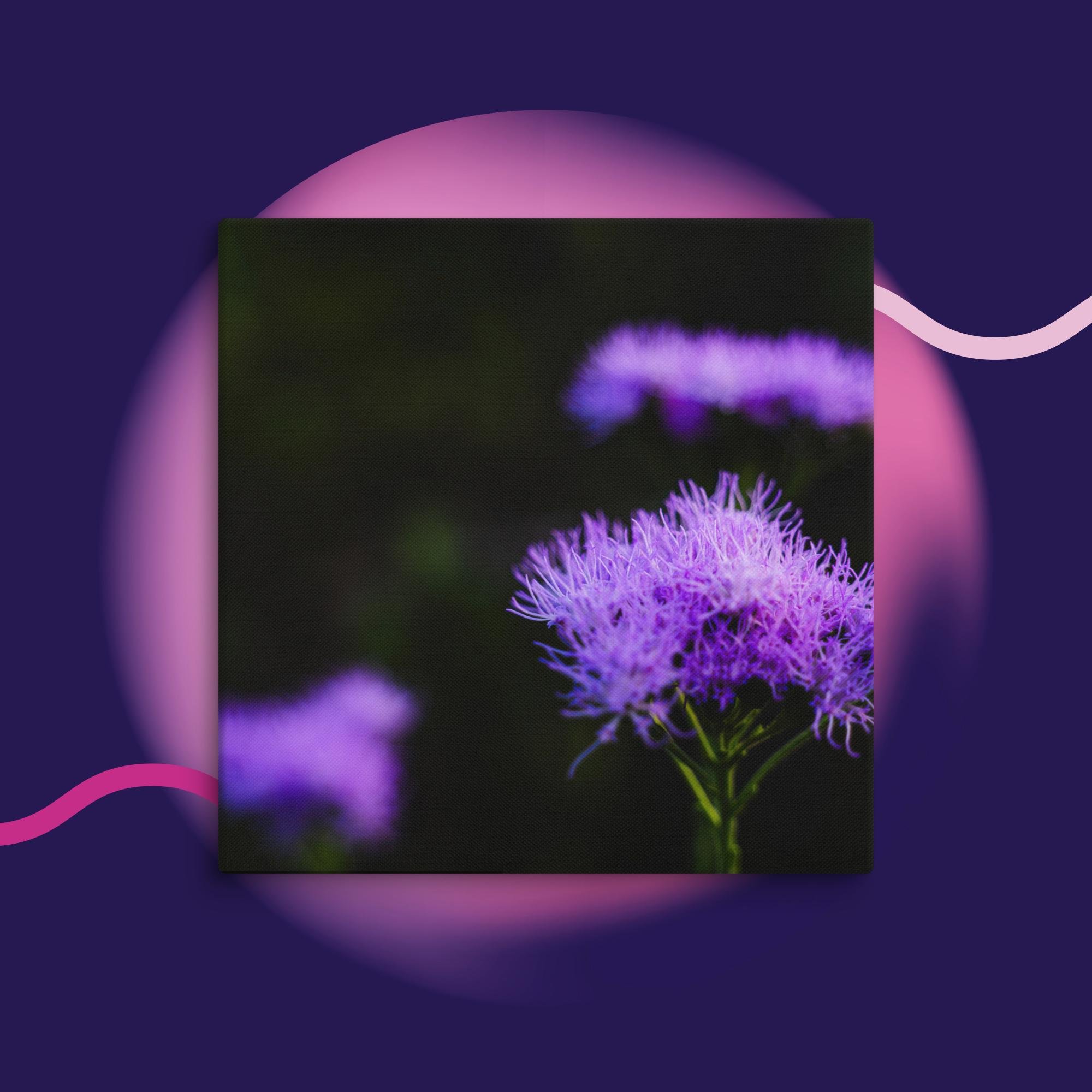 canvas-(in)-20x20-wall-673cd04a1fa2f.jpg