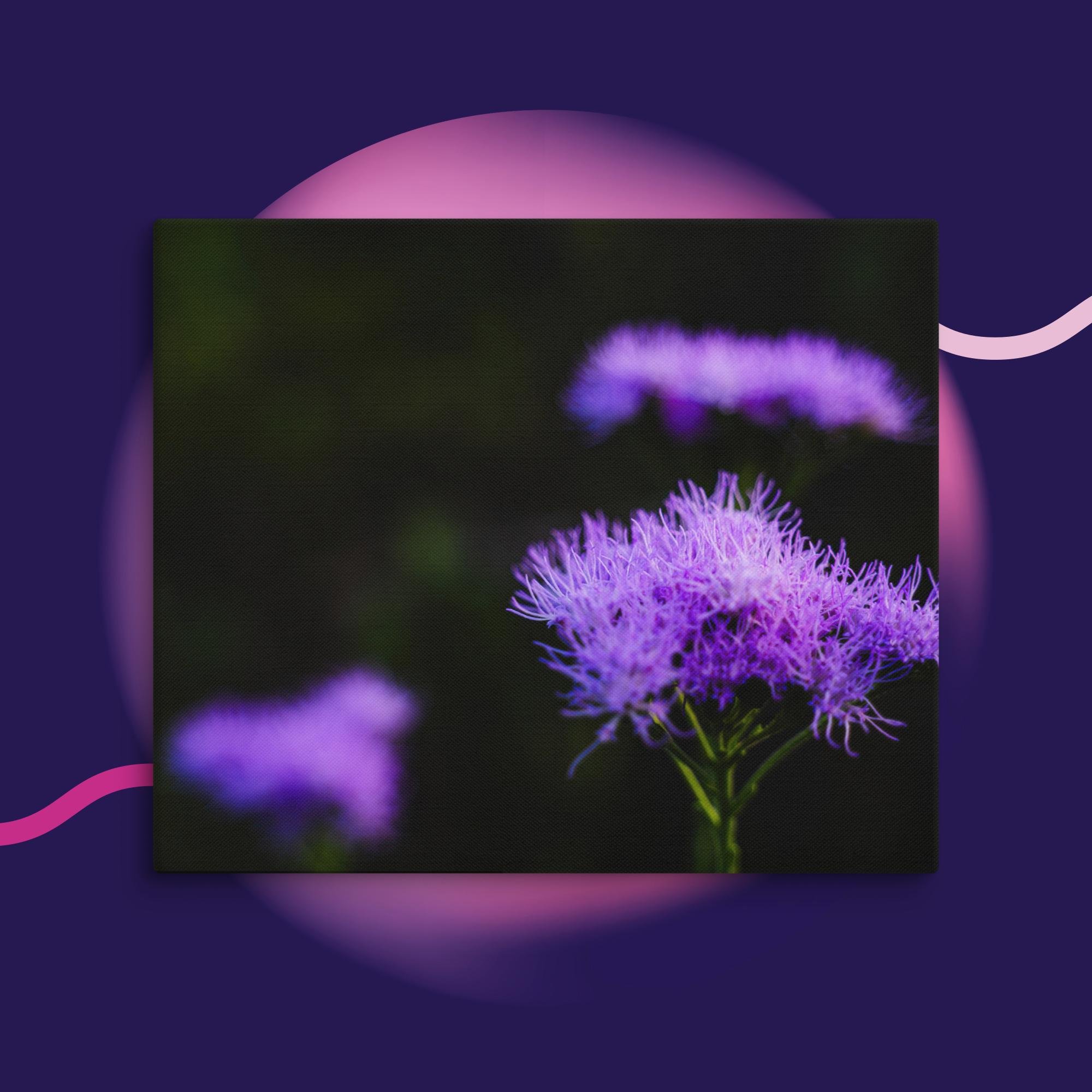 canvas-(in)-20x24-wall-673cd04a39125.jpg