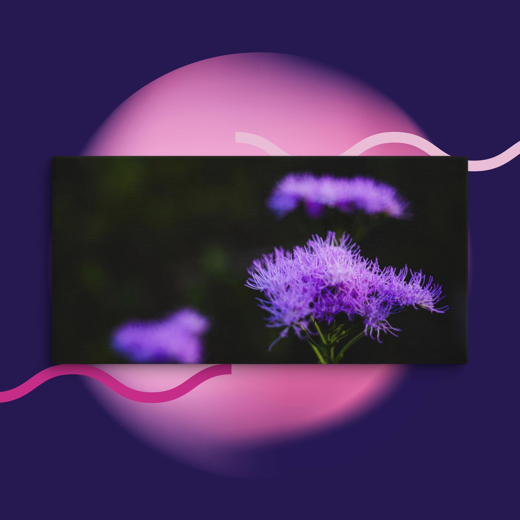 canvas-(in)-24x48-wall-673cd04a31c5a.jpg