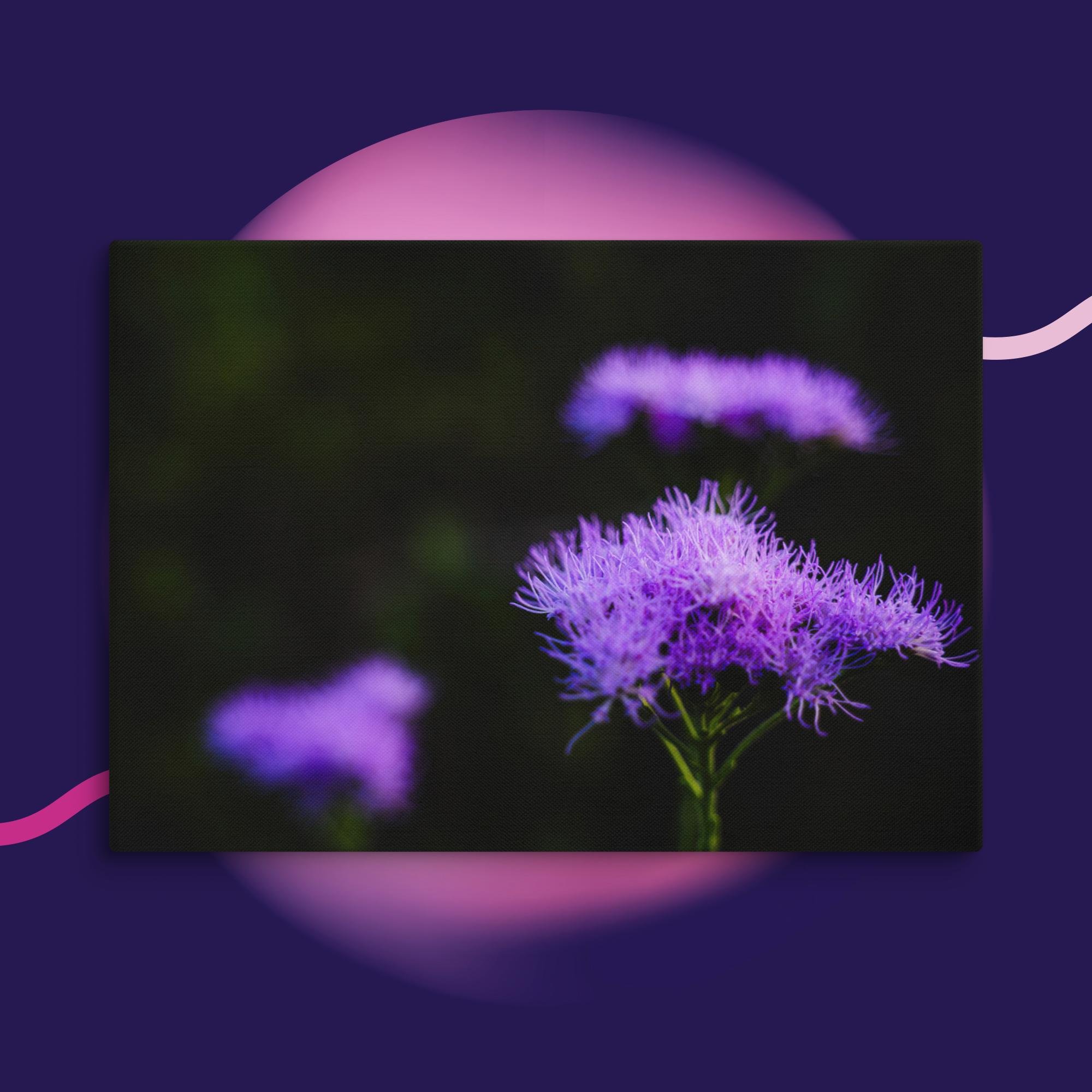 canvas-(in)-28x40-wall-673cd04a2e99c.jpg