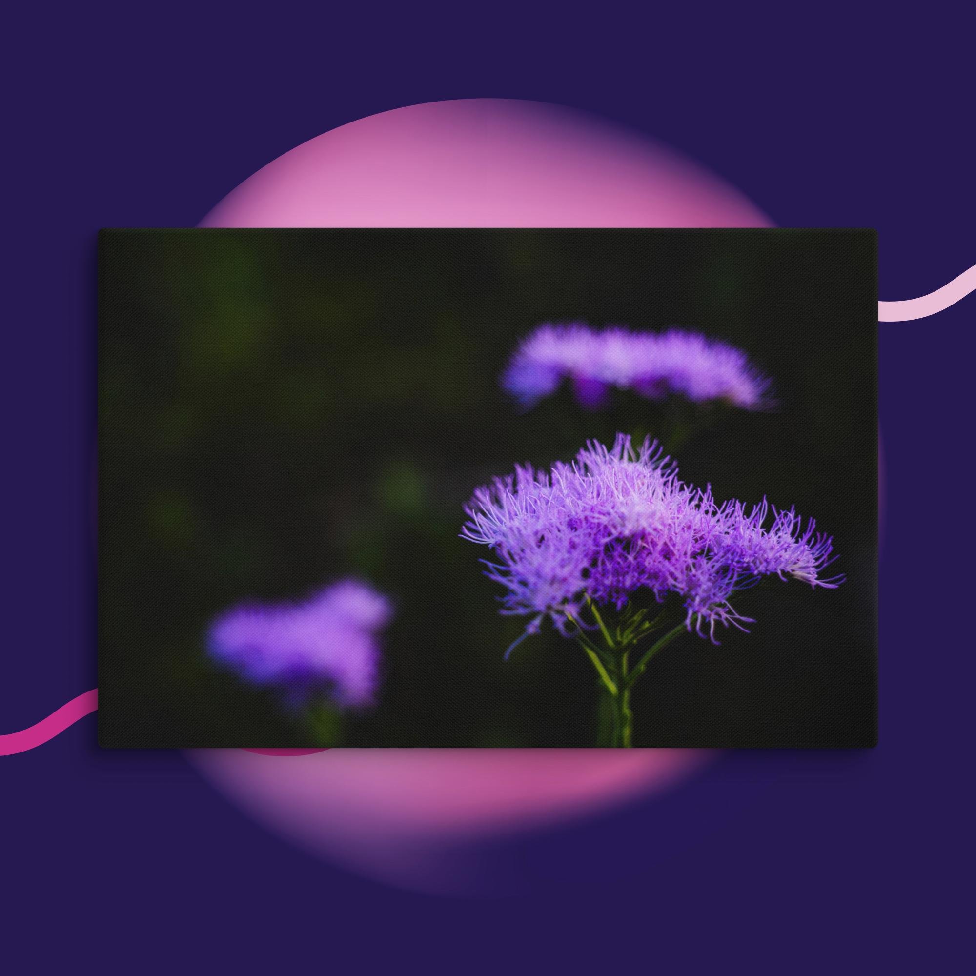 canvas-(in)-40x60-wall-673cd04a26bd4.jpg