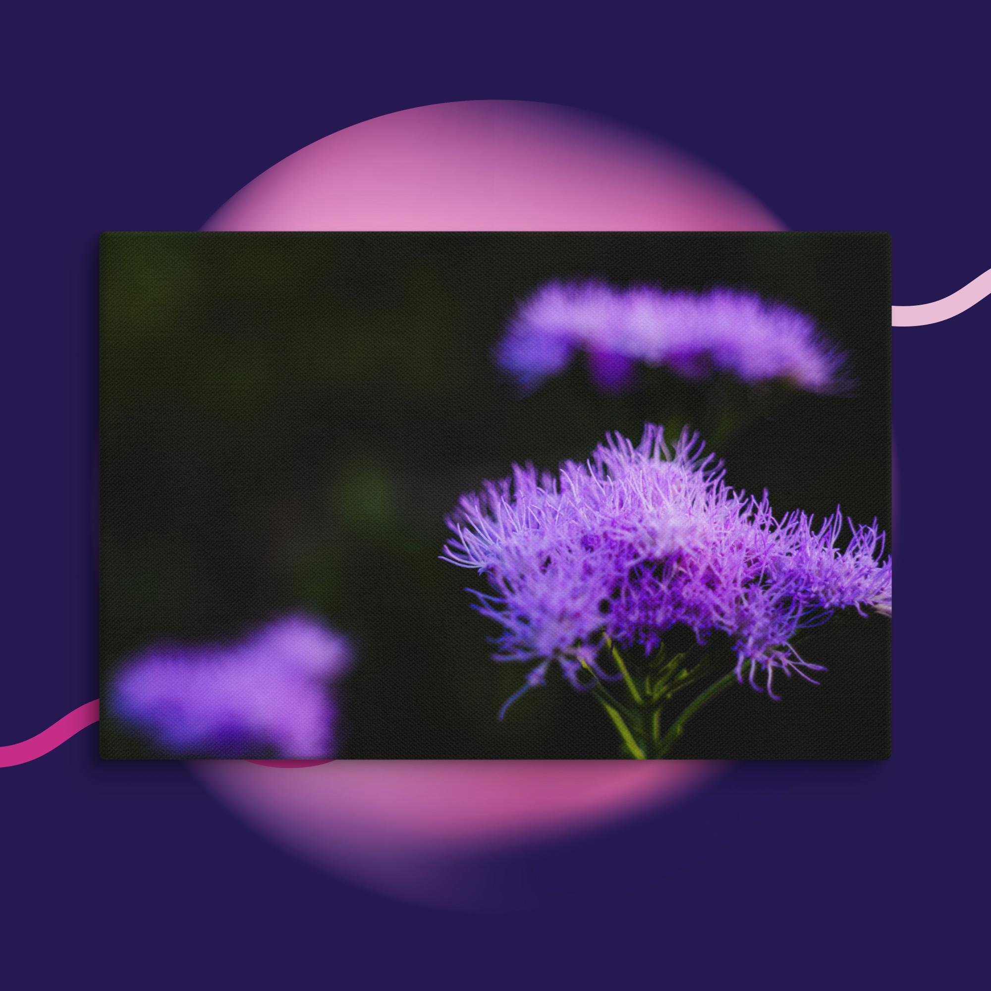 canvas-(in)-8x12-wall-673cd04a23e4a.jpg