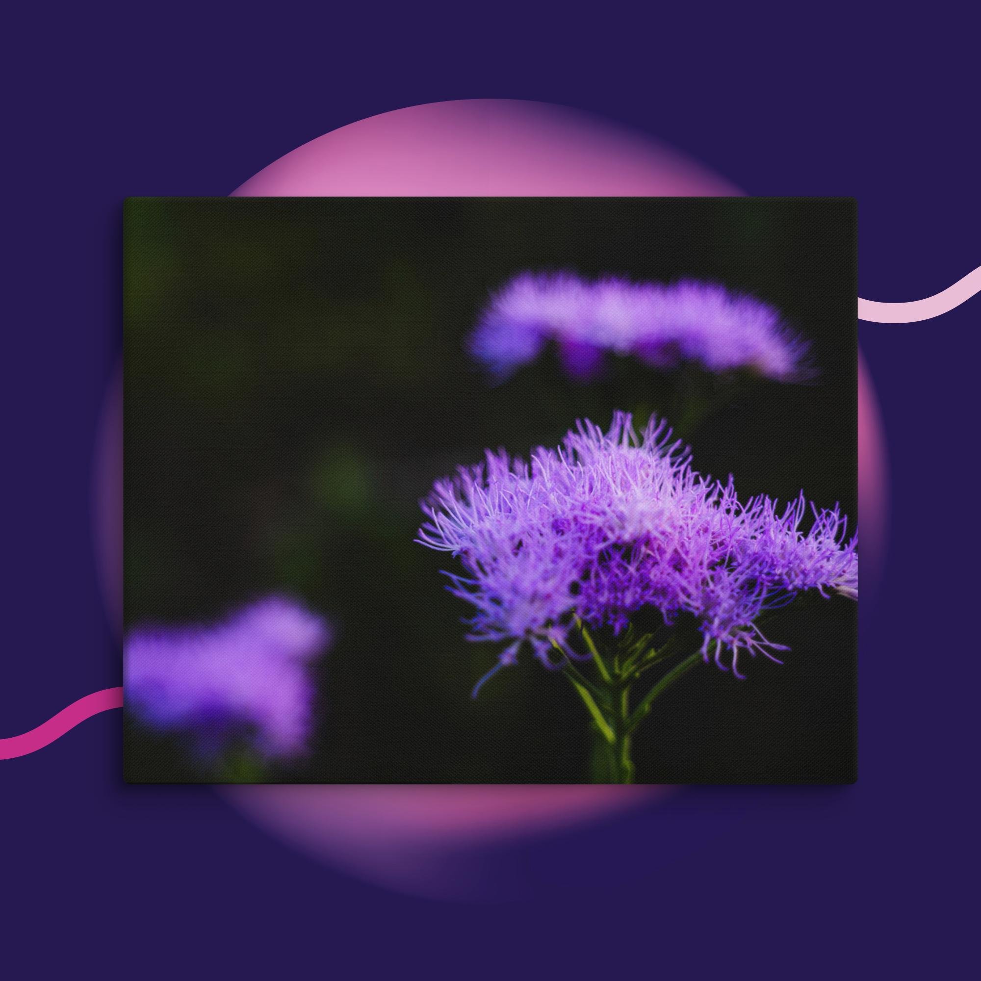 canvas-(in)-16x20-wall-673cd04a1ac06.jpg