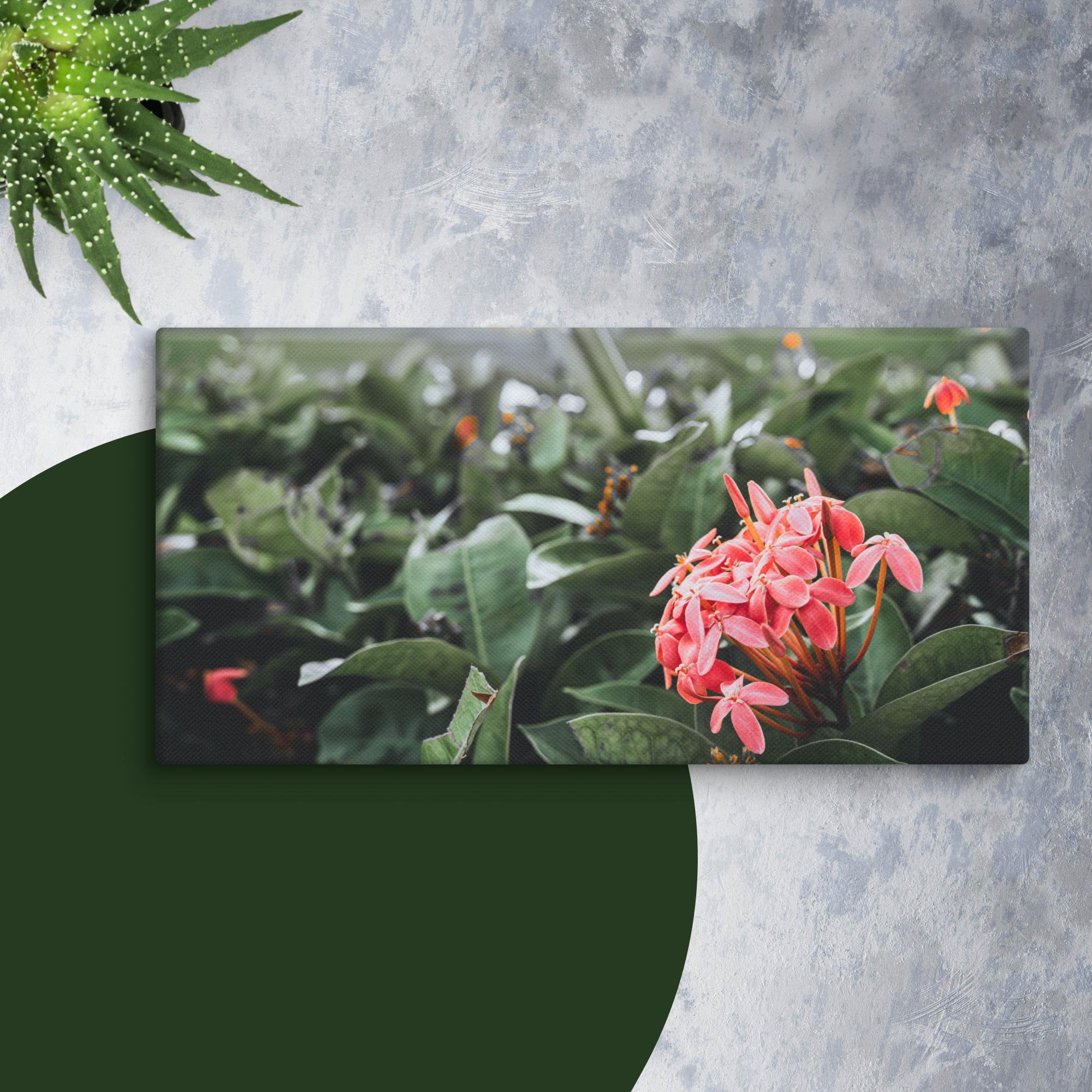 canvas-(in)-12x24-wall-673f8cf71cce7.jpg