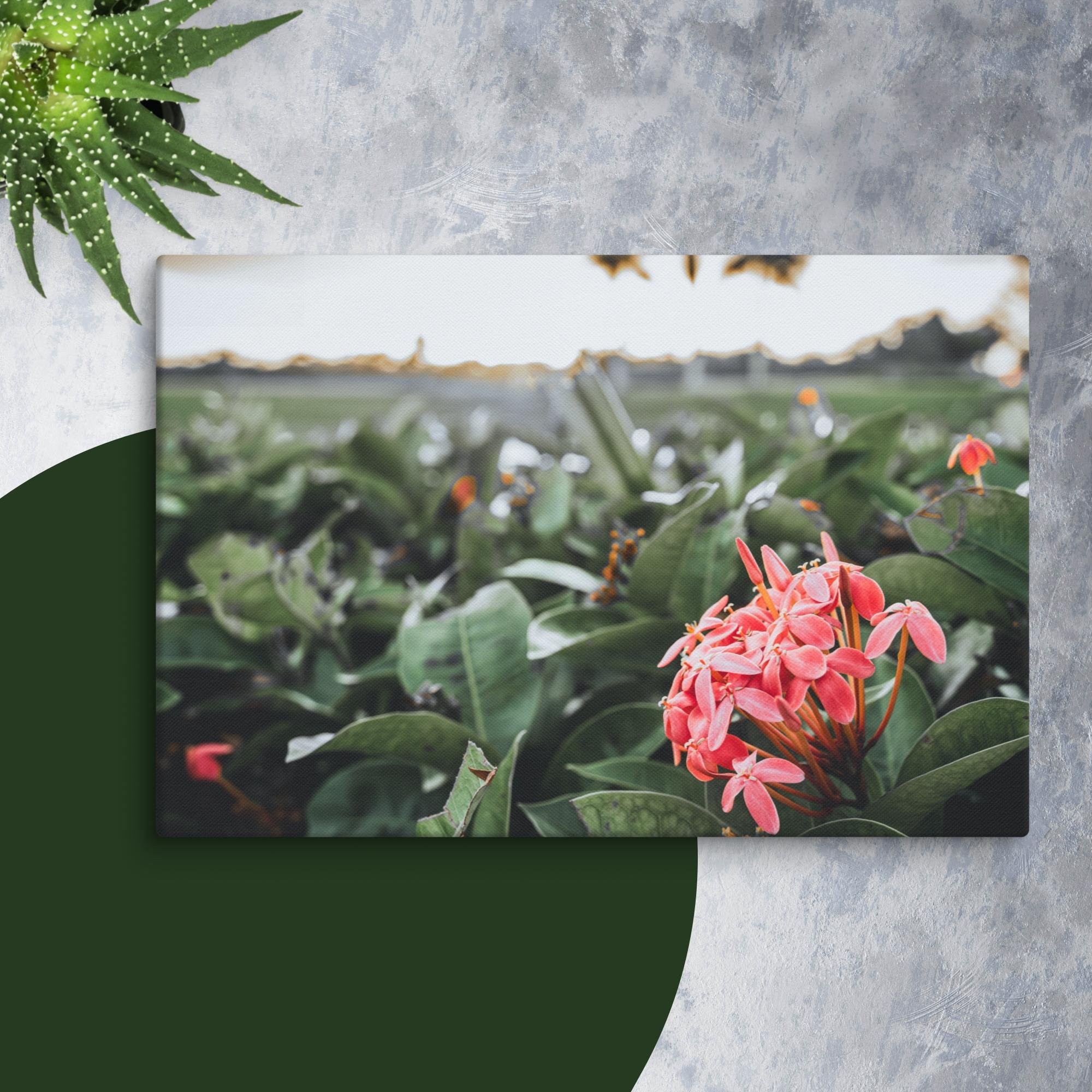 canvas-(in)-16x24-wall-673f8cf71b629.jpg
