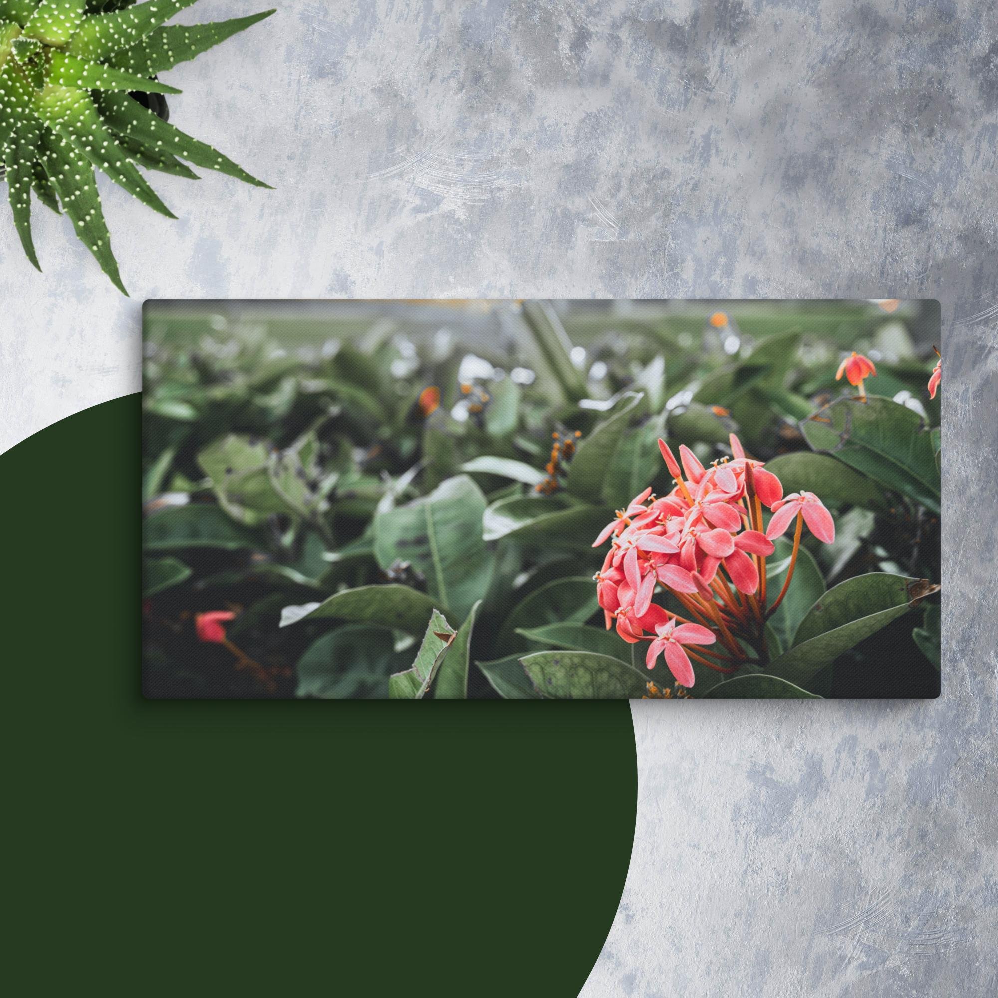 canvas-(in)-16x32-wall-673f8cf7173a2.jpg