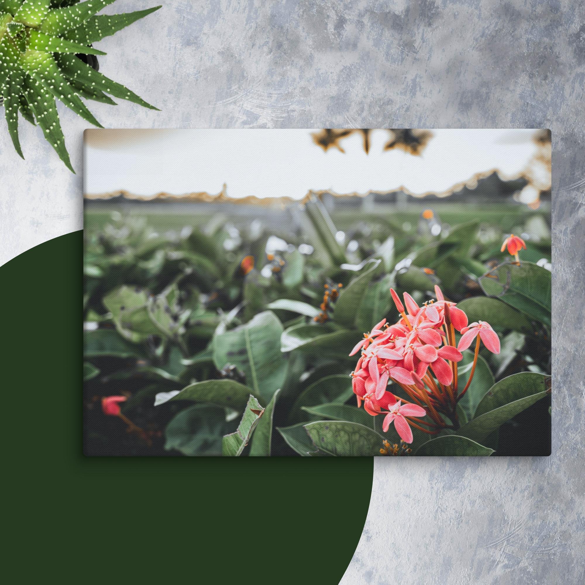 canvas-(in)-28x40-wall-673f8cf70c5cf.jpg