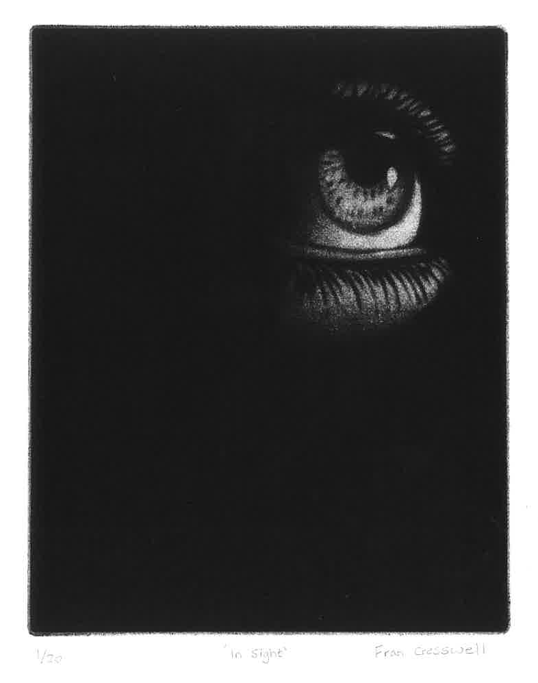 Mezzotint black and white print. A black and white print of a human eye, partially covered by darkness, with detailed eyelashes and iris.