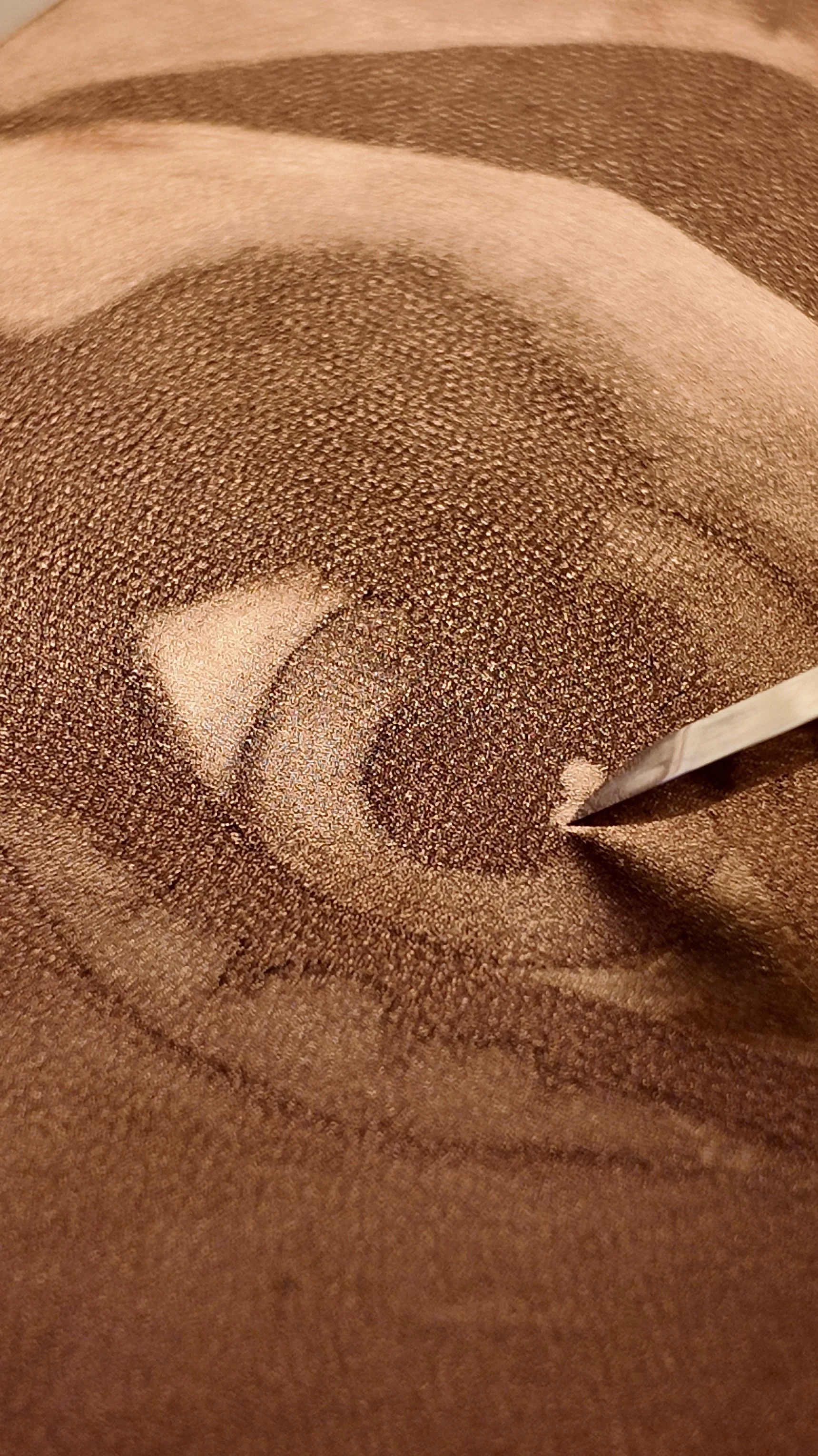 mezzotint copper eye by Fran Cresswell