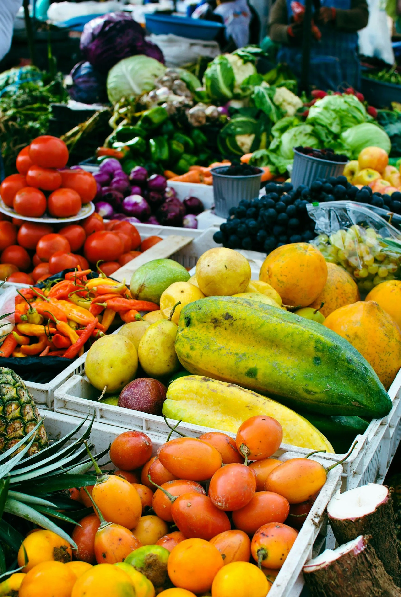Variedad de frutas y verduras frescas en un mercado al aire libre, incluyendo tomates, chiles, piña, papaya, uvas, calabacines, cebollas, y otros vegetales en cajas y mesas