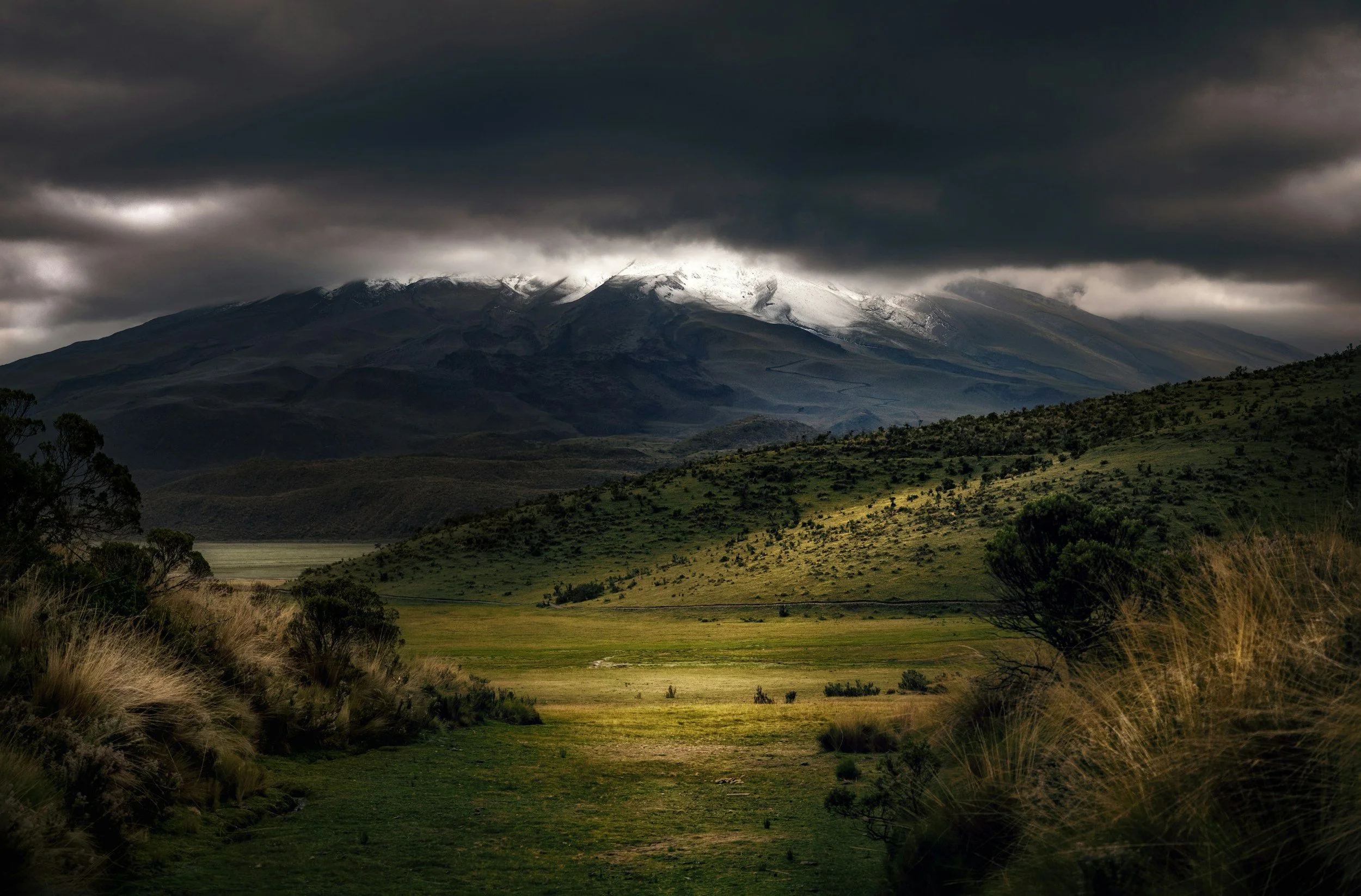 Montañas con nieve y nubes oscuras al atardecer, pradera verde y arbustos en primer plano