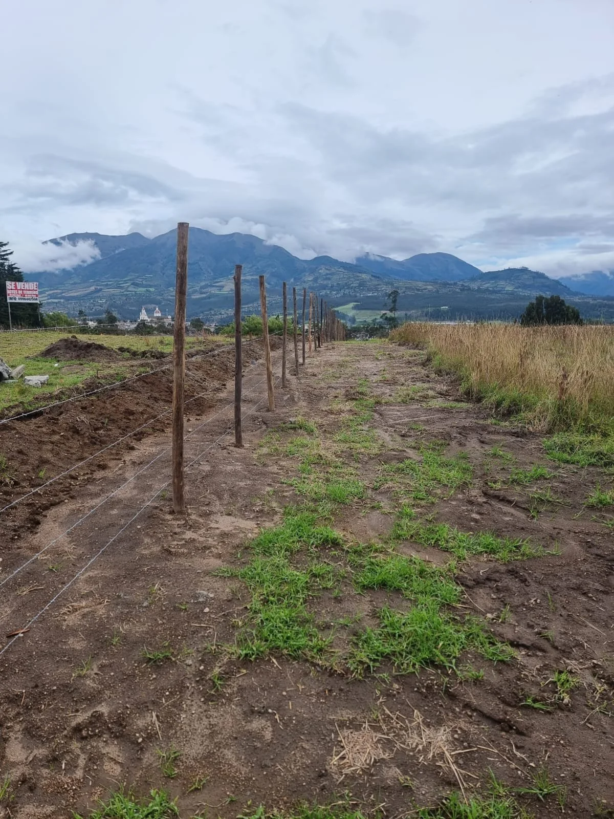 PHOTO-2024-04-30-21-57-41 3.jpg