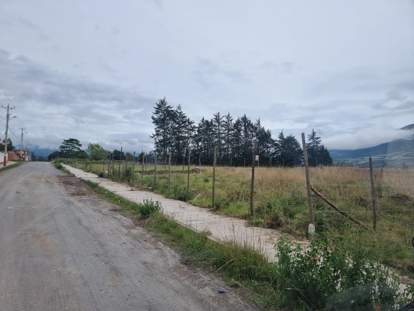 PHOTO-2024-04-30-21-57-40 2.jpg