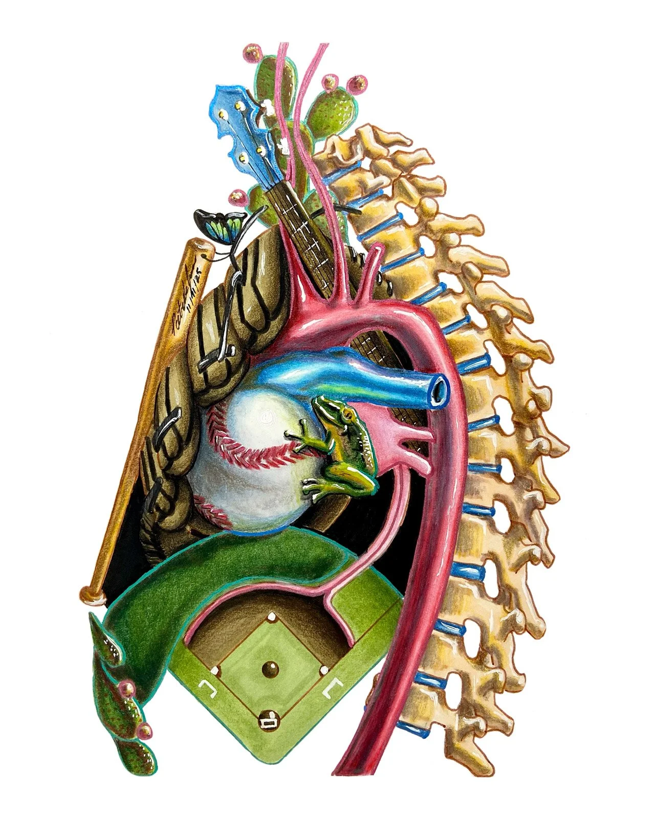 Anatomy of a Baseball Lover