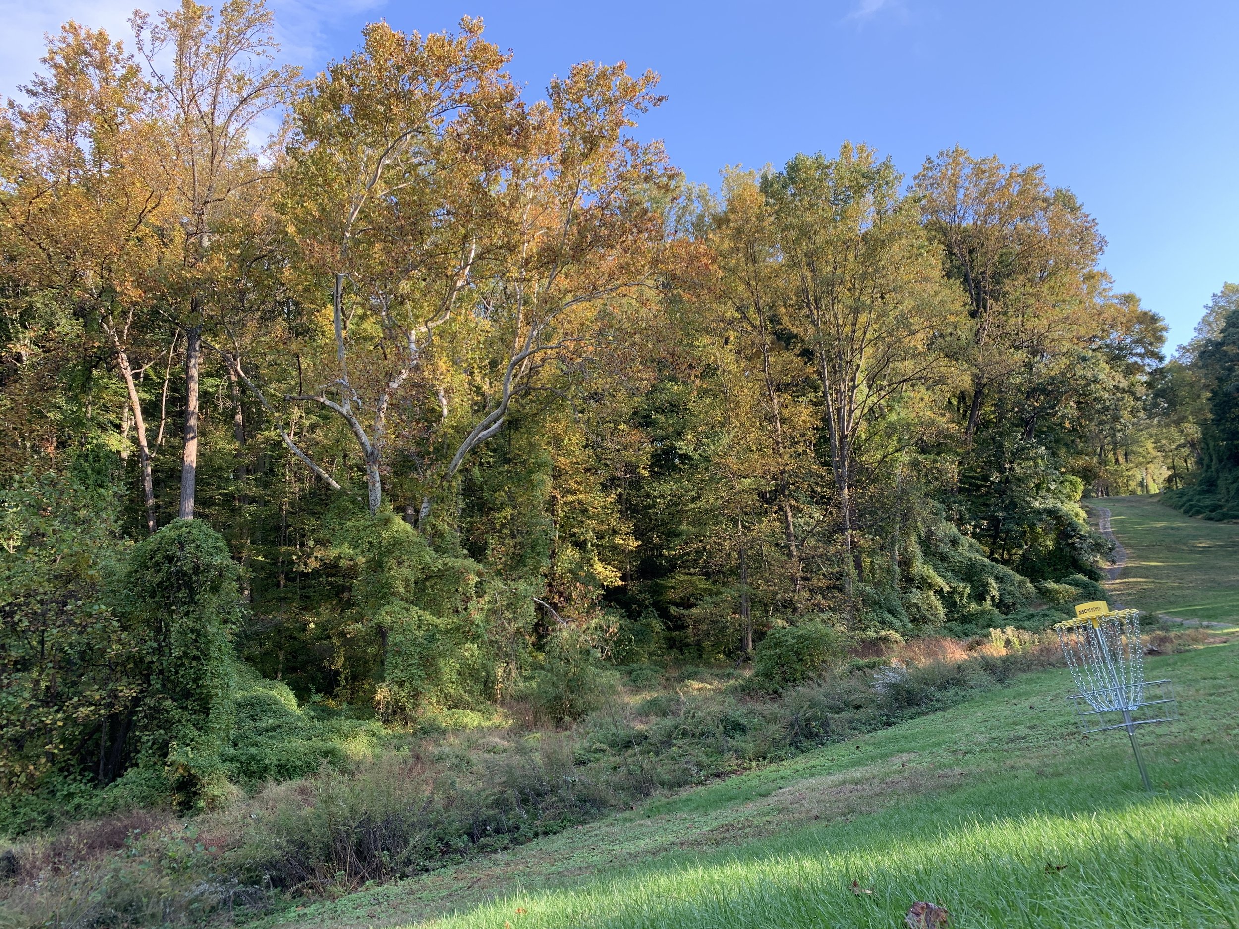 Some of the glorious trees by the 14th fairway. Disk golfers do not mind the grass not being perfect or the trees being in the way - it makes the game more fun!