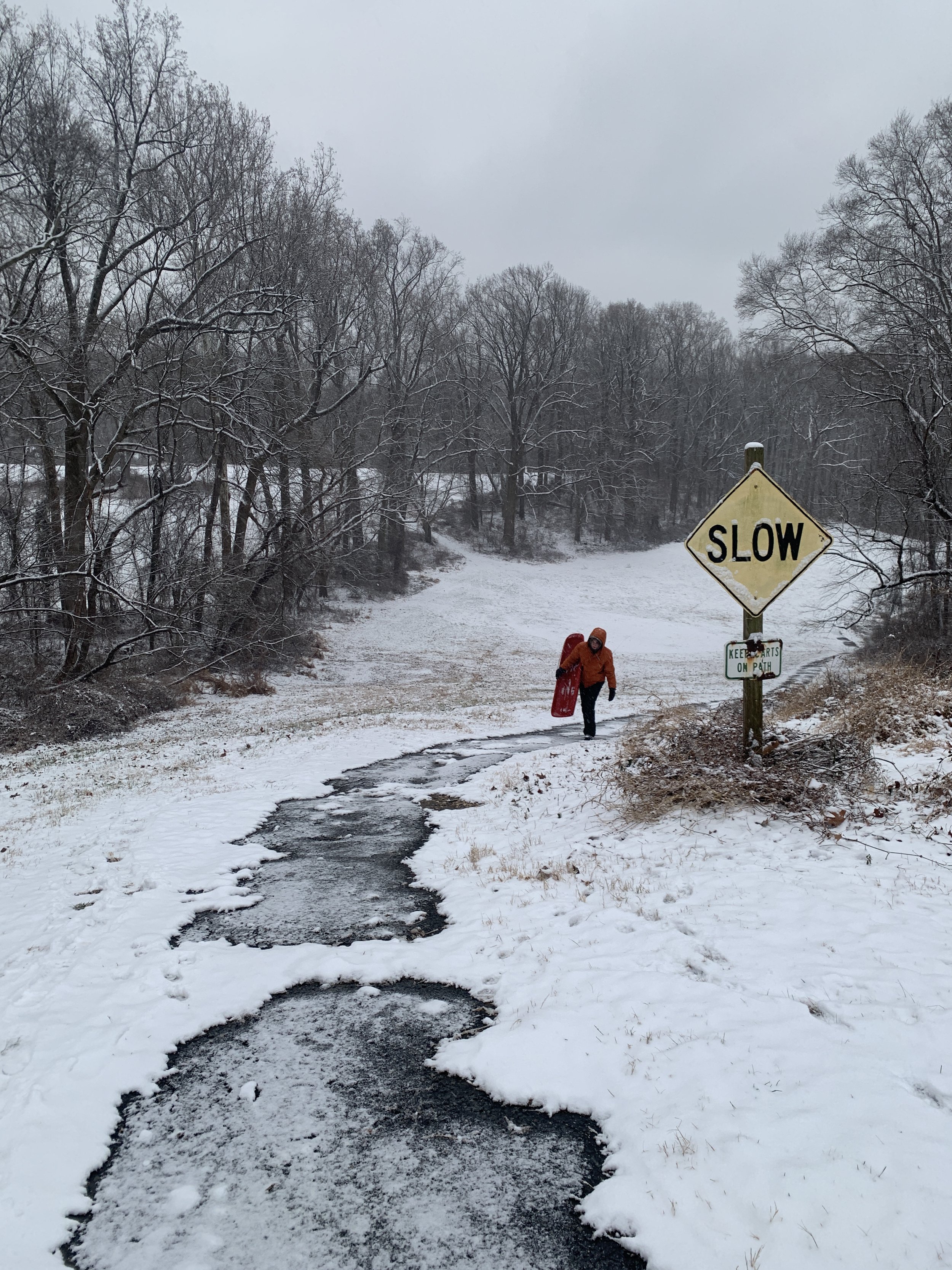 The trees don't get in the way of sledding