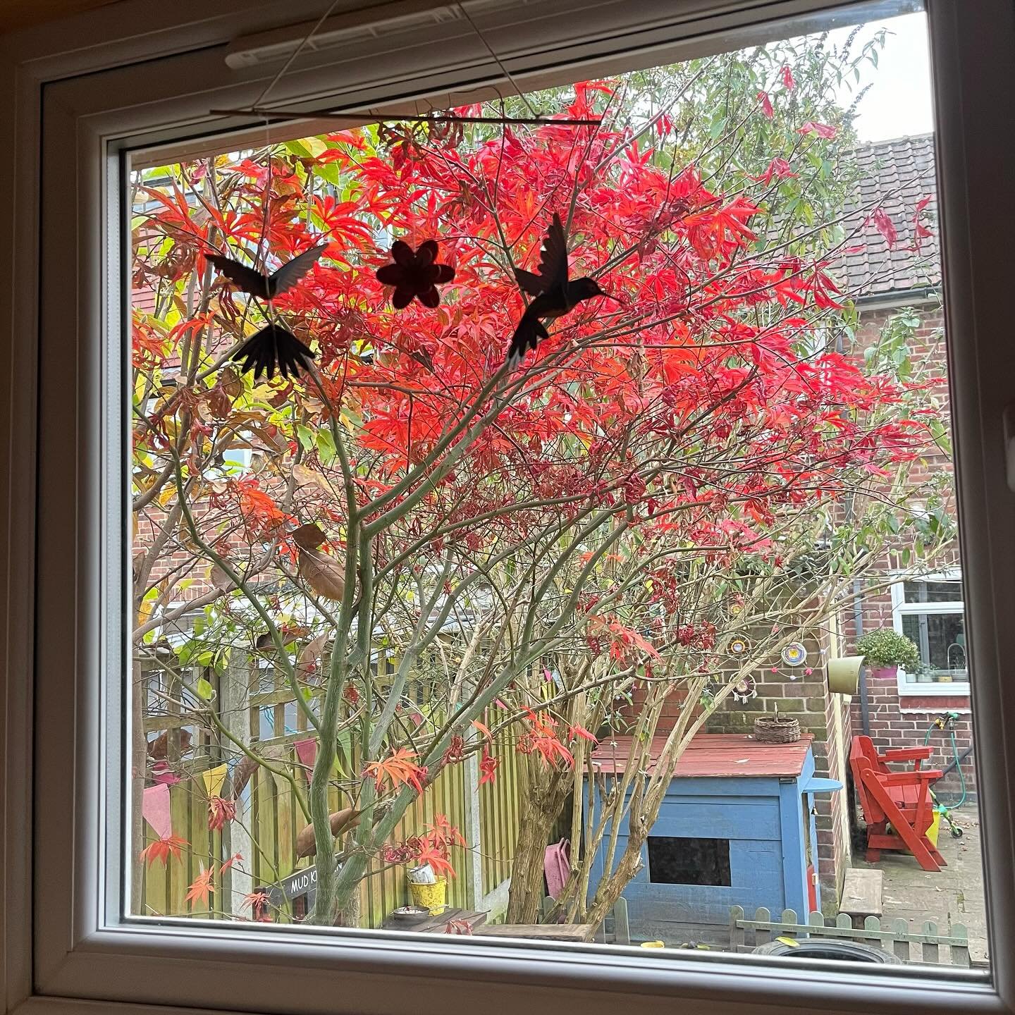 Restarting the second half of the Autumn term with this tree in my favorite colour! 🍁