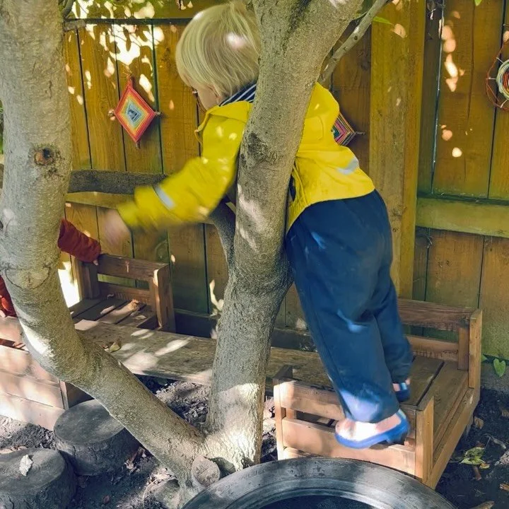 I’ve been trying to find ways to make the garden cosier and more playful, and judging by the way my hummingbirds took this corner under my magnolia, it seems that I was very successful! 🌈
#waldorfchildminding
#waldorfchildminder
#steinerchild