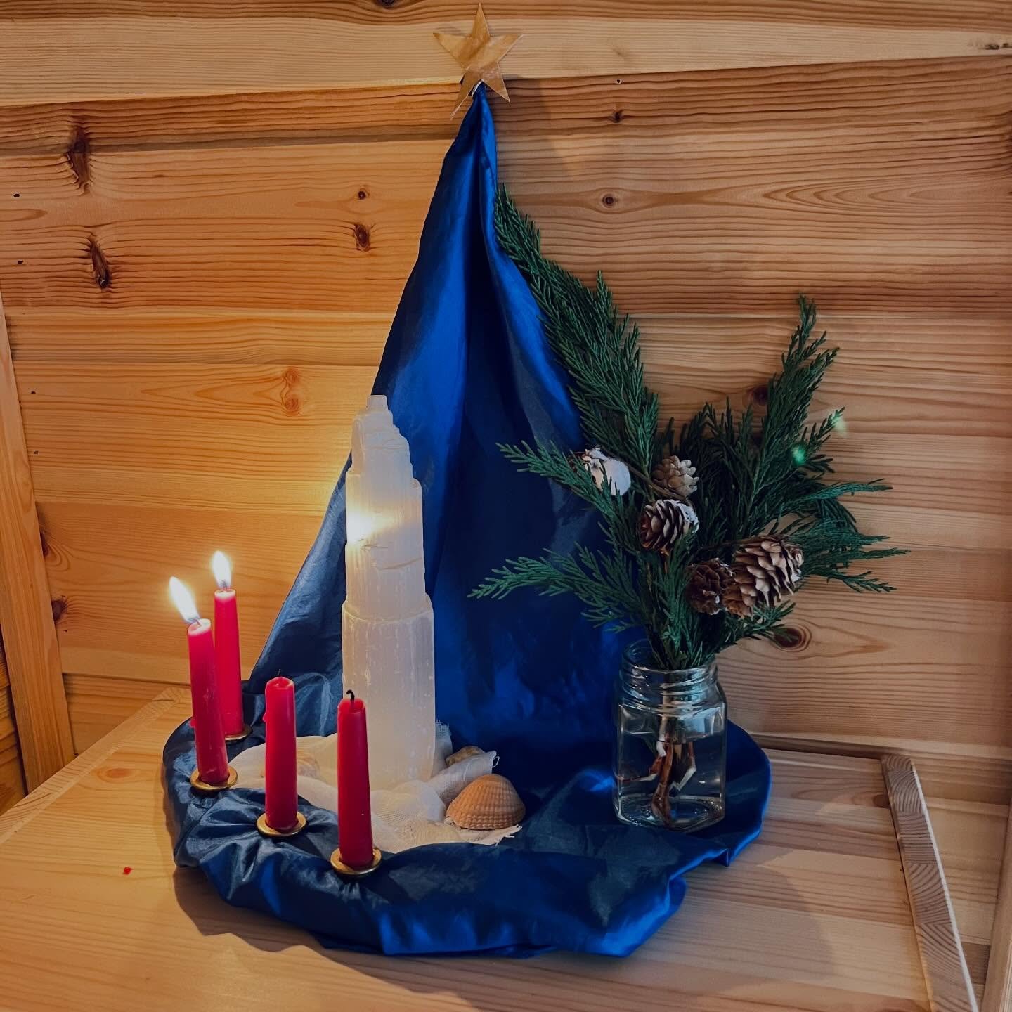 &ldquo;The second light of advent is the light of plants, Plants that reach up to the sun, and in the breezes, dance.&rdquo;

#waldorfchildminding
#waldorfchildminder
#steinerchildminder
#yorkchildminder 
#waldorfeducation 
#waldorfearlychildhood
#wa