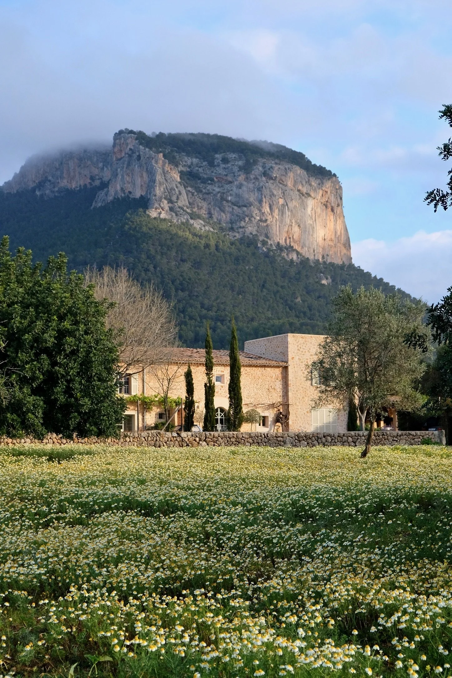 ES RAFAL, Seeing Beyond the Ruins