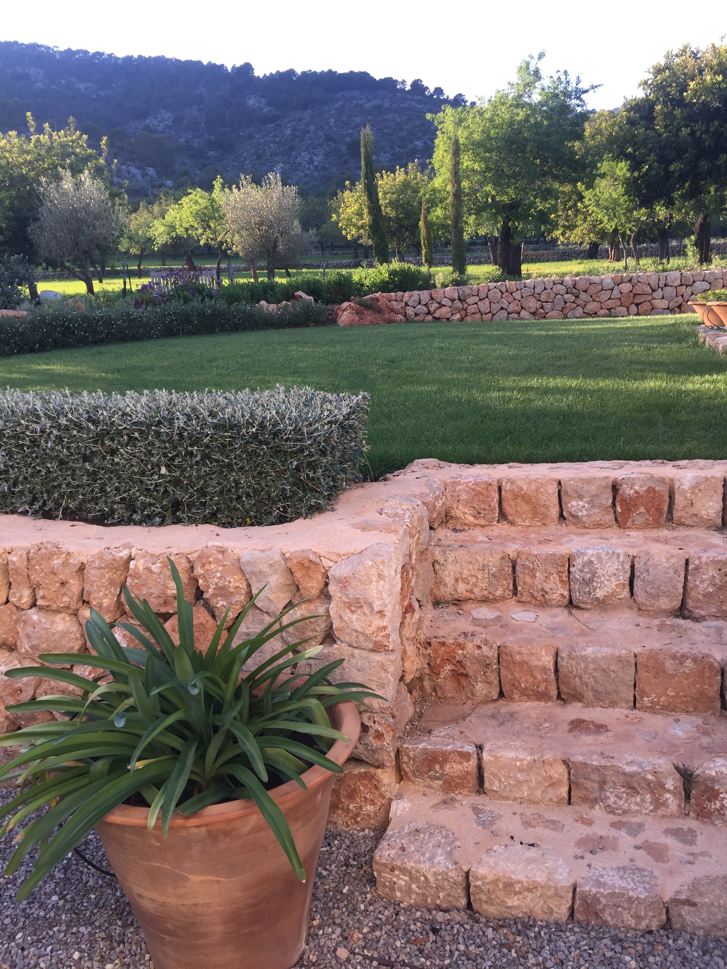 DEFB682B-8414-492F-9352-AC28077291F9 copy.JPG