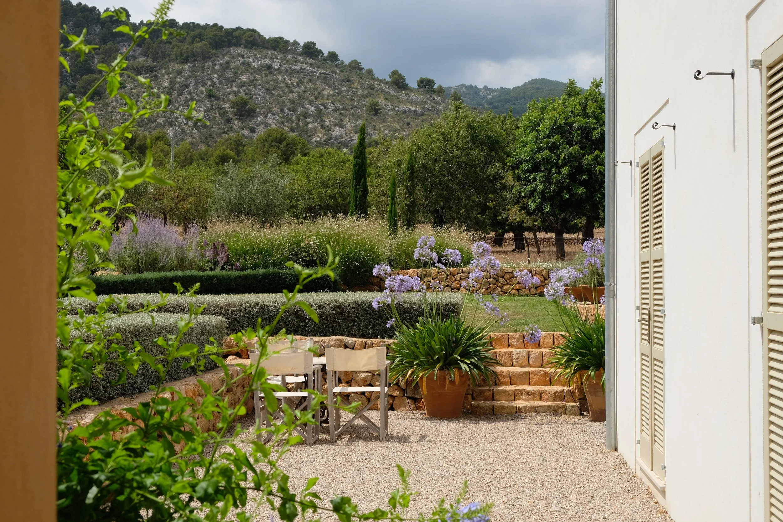 The Realistic Timeline of Creating a Mediterranean Garden