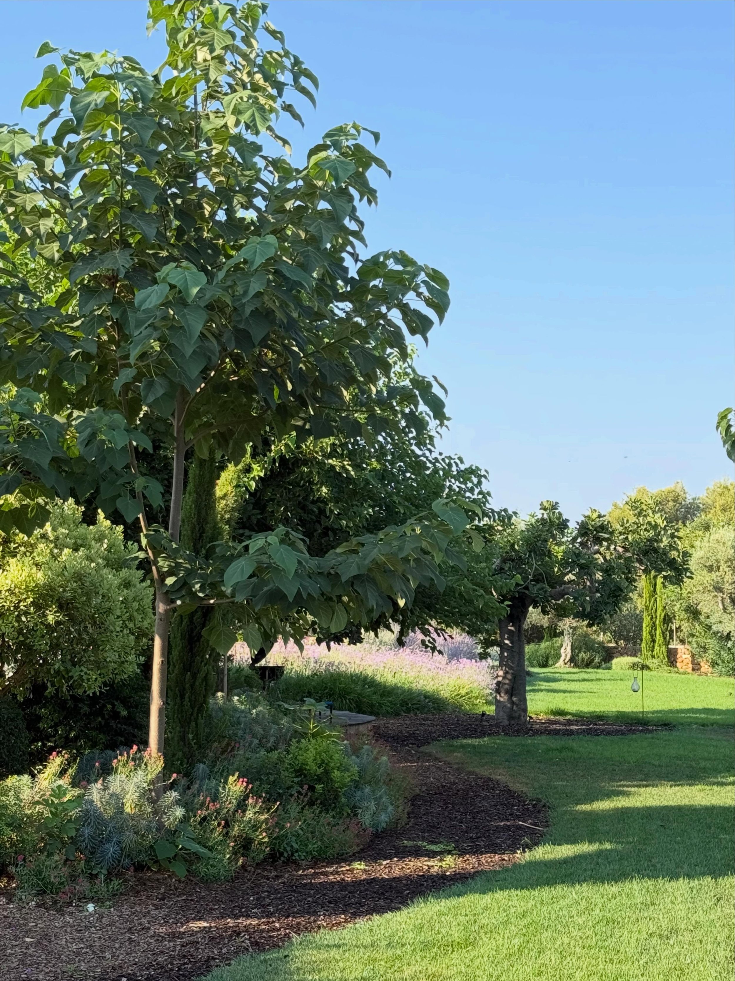 Some images of this garden! 3 years after planting. The goal we had was to turn this plot into a lush and visually stunning garden that could house plenty of entertaining areas, planting for all seasons, a more evergreen entrance to offer all year ro