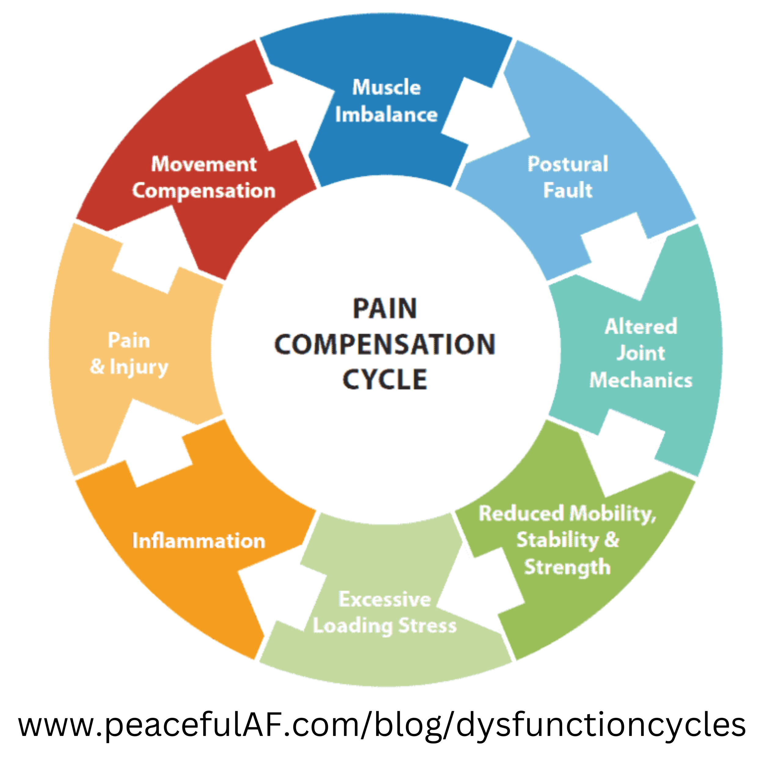 Cycles of Dysfunction — feel. better.