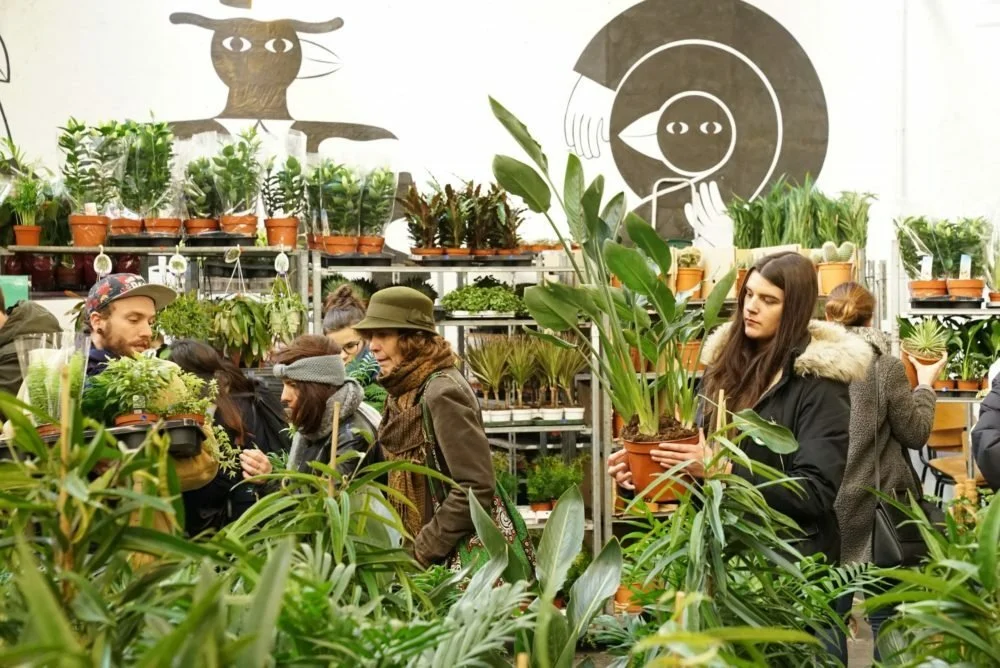 gran venta plantas espacio 882.jpg