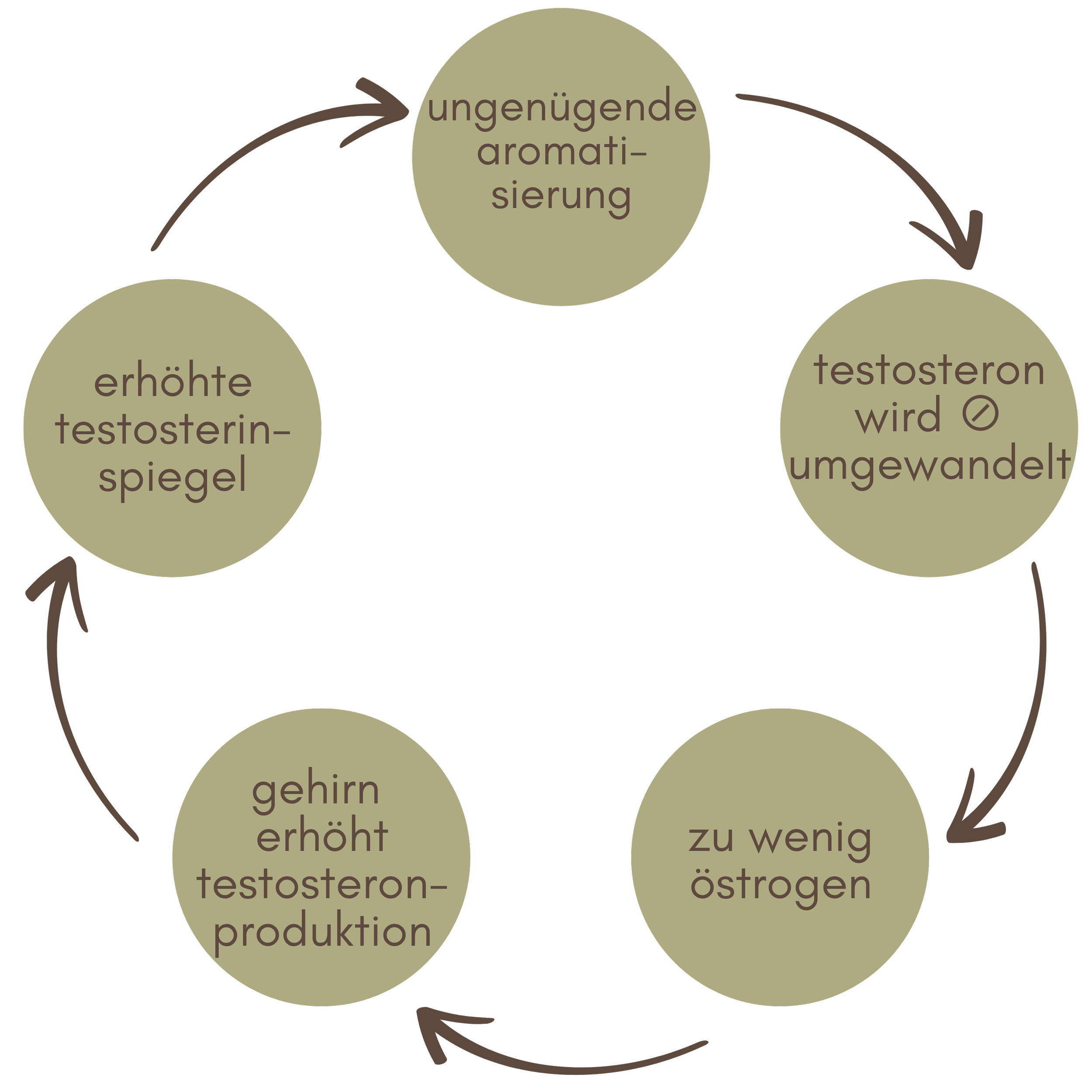 SVDE Weiterbildung PCOS