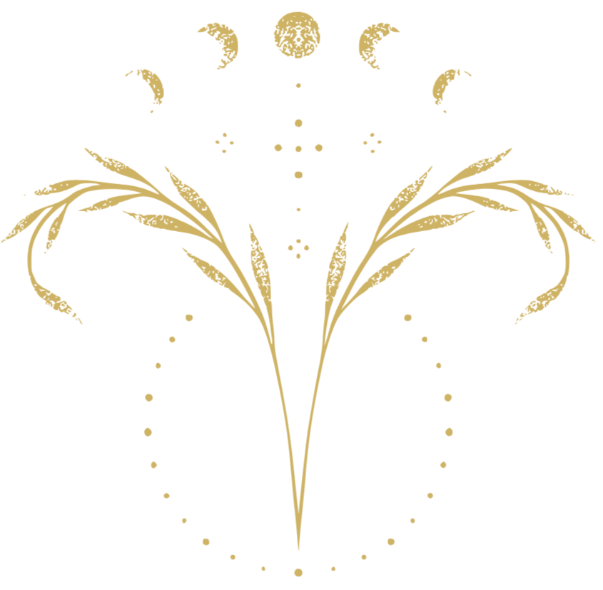 Ernährungsberatung bei PCOS Schweiz online