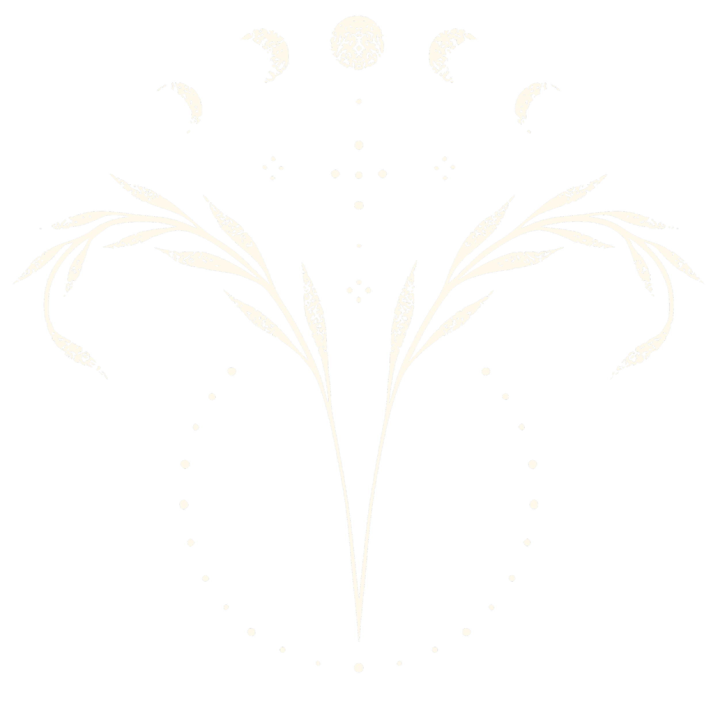 Ernährungsberatung für Frauen