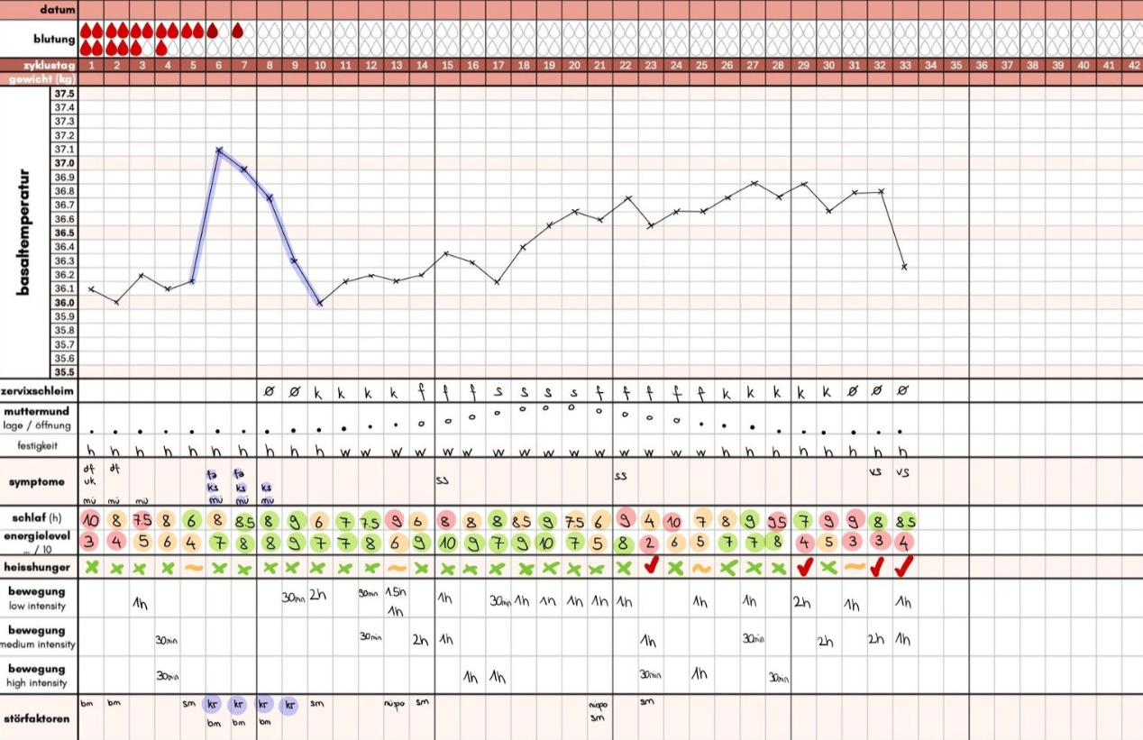 zyklusbasierte Lebensstil Anleitung