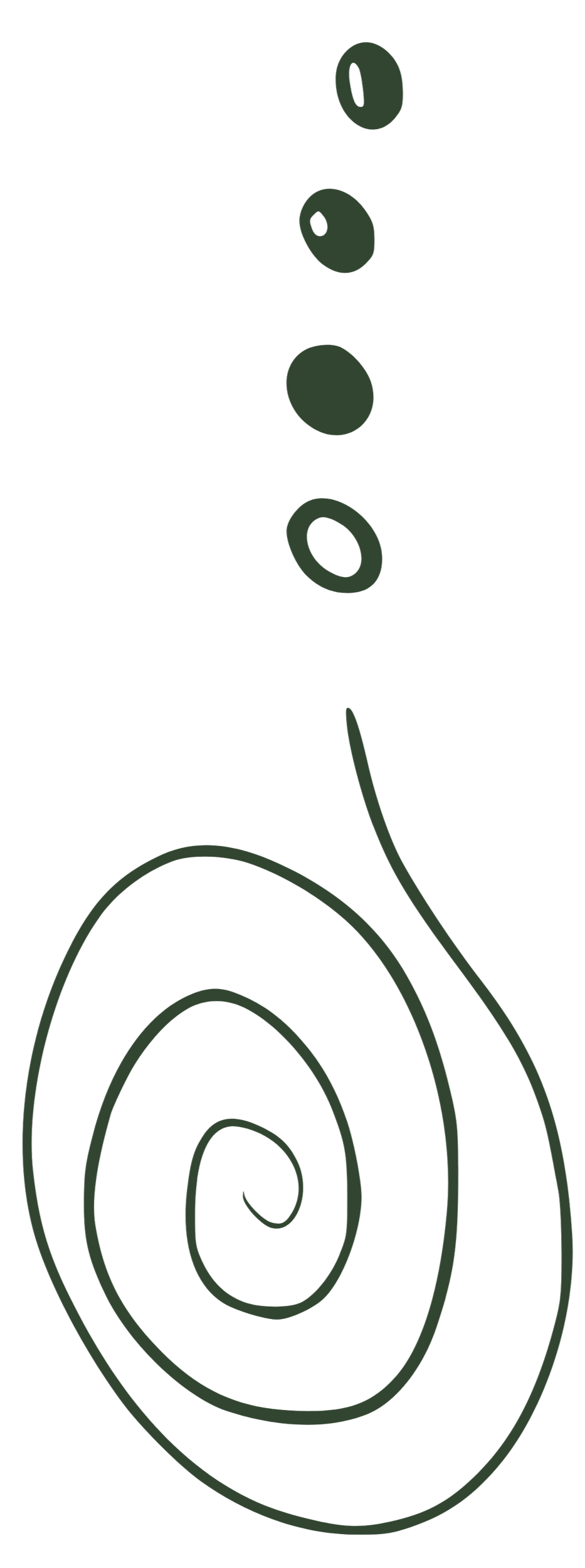 Expertin für Frauengesundheit gibt Masterclass zu zyklusbasiertem Lebensstil