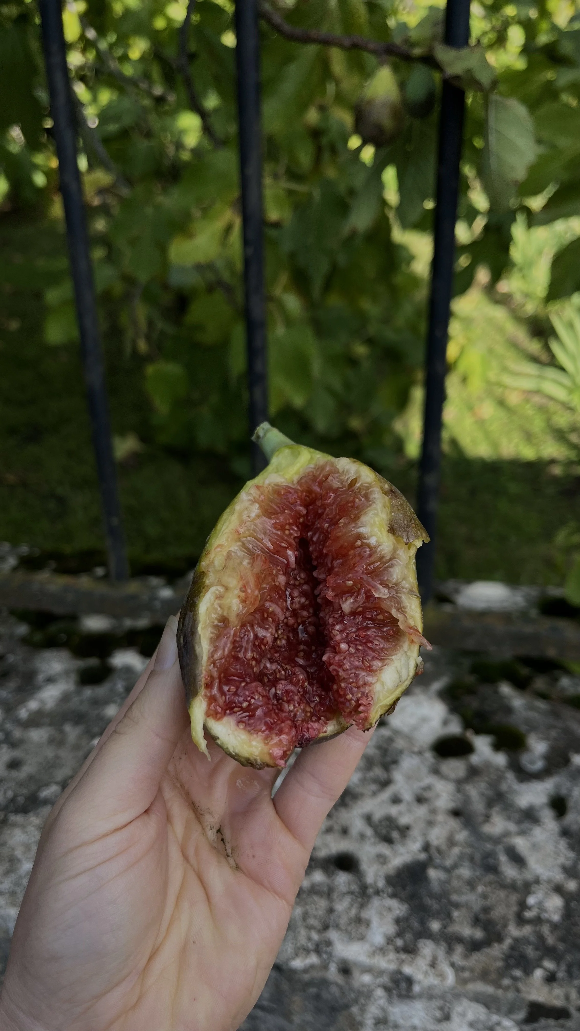 achtsame Ernährung für Frauen, intuitive Ernährung für Frauen