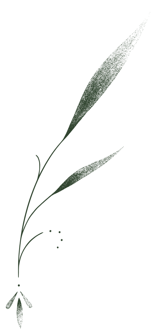 ganzheitliches Zykluscoaching bei Schmerzen oder Menopause