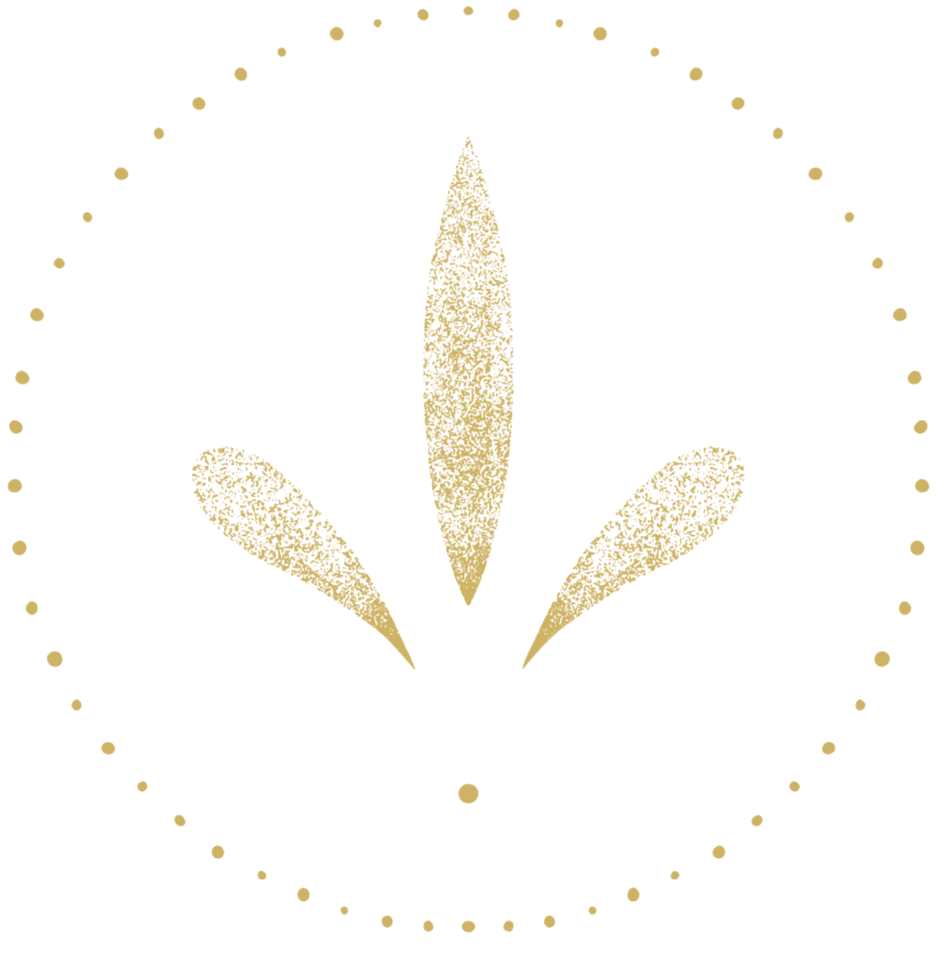 Ernährungsberatung für Frauen Schweiz online und Basel.