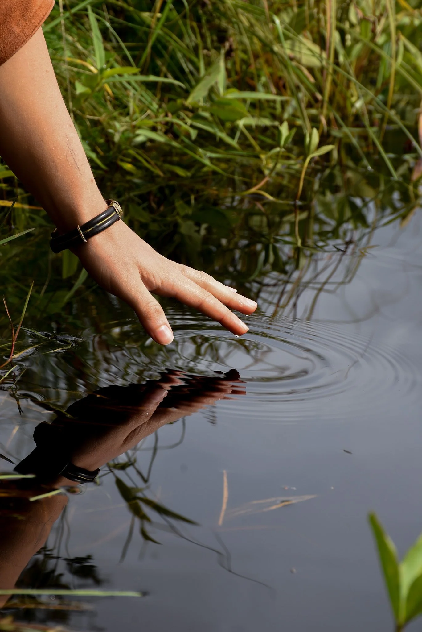 emotionales Zuhause aufbauen für nachhaltiges Gewichtsmanagement Schweiz