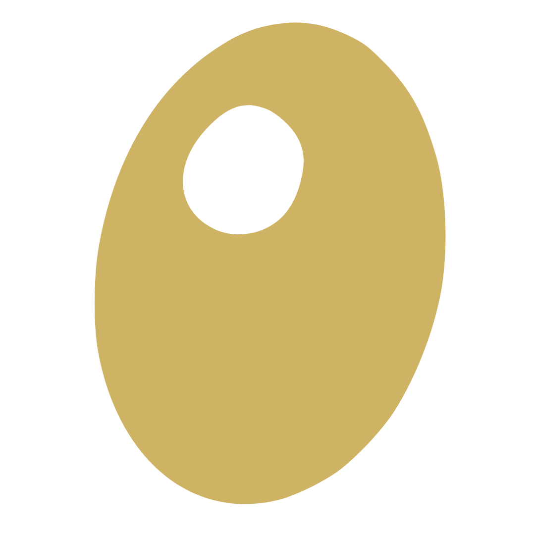 Ernährungsberatung für Frauen in Baselland