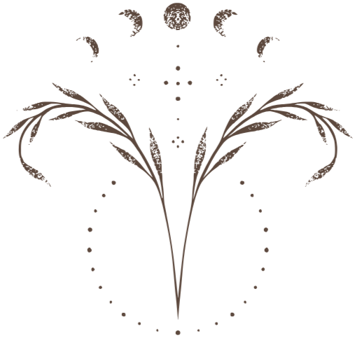 SVDE Weiterbildung Zyklusstörungen und zyklusbasierte Ernährung.