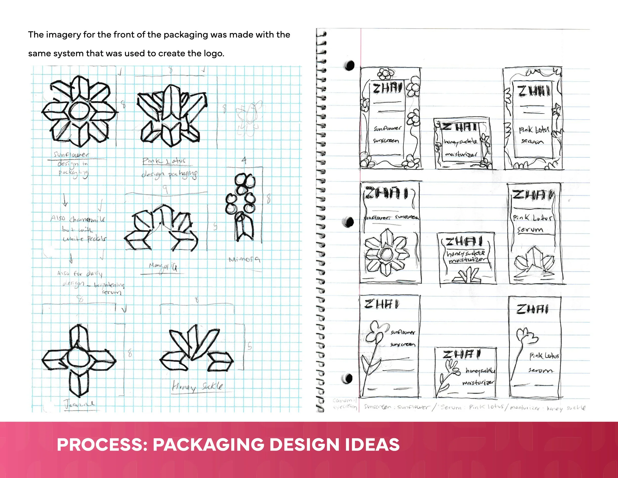 ZHAI PRESENTATION packaging design ideas.jpg